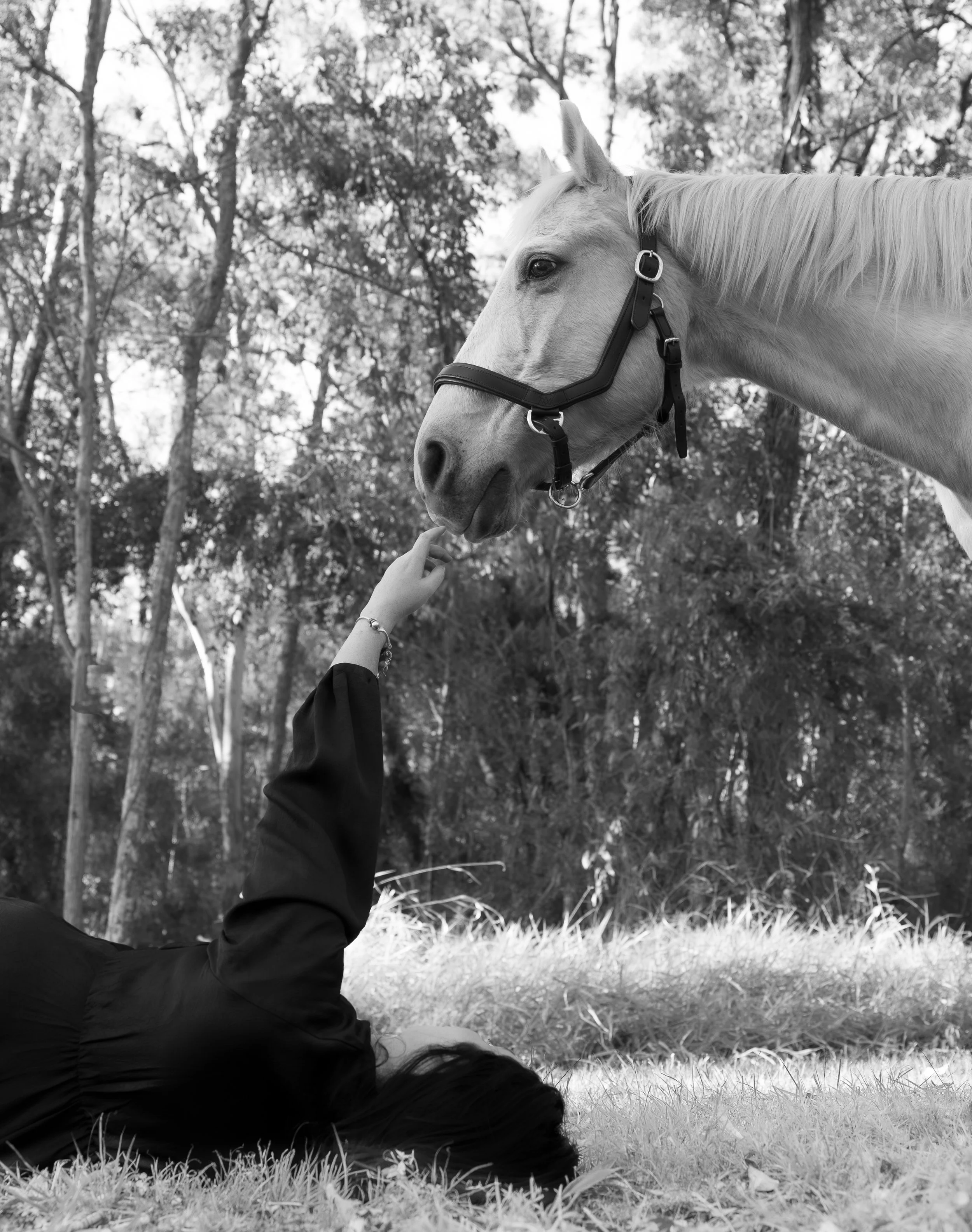 A person in a black jacket is lying on their back on the grass, reaching out their hand to gently touch the nose of a light-colored horse wearing a bridle, with trees in the background. Fine art photographed by Adam Wyatt.