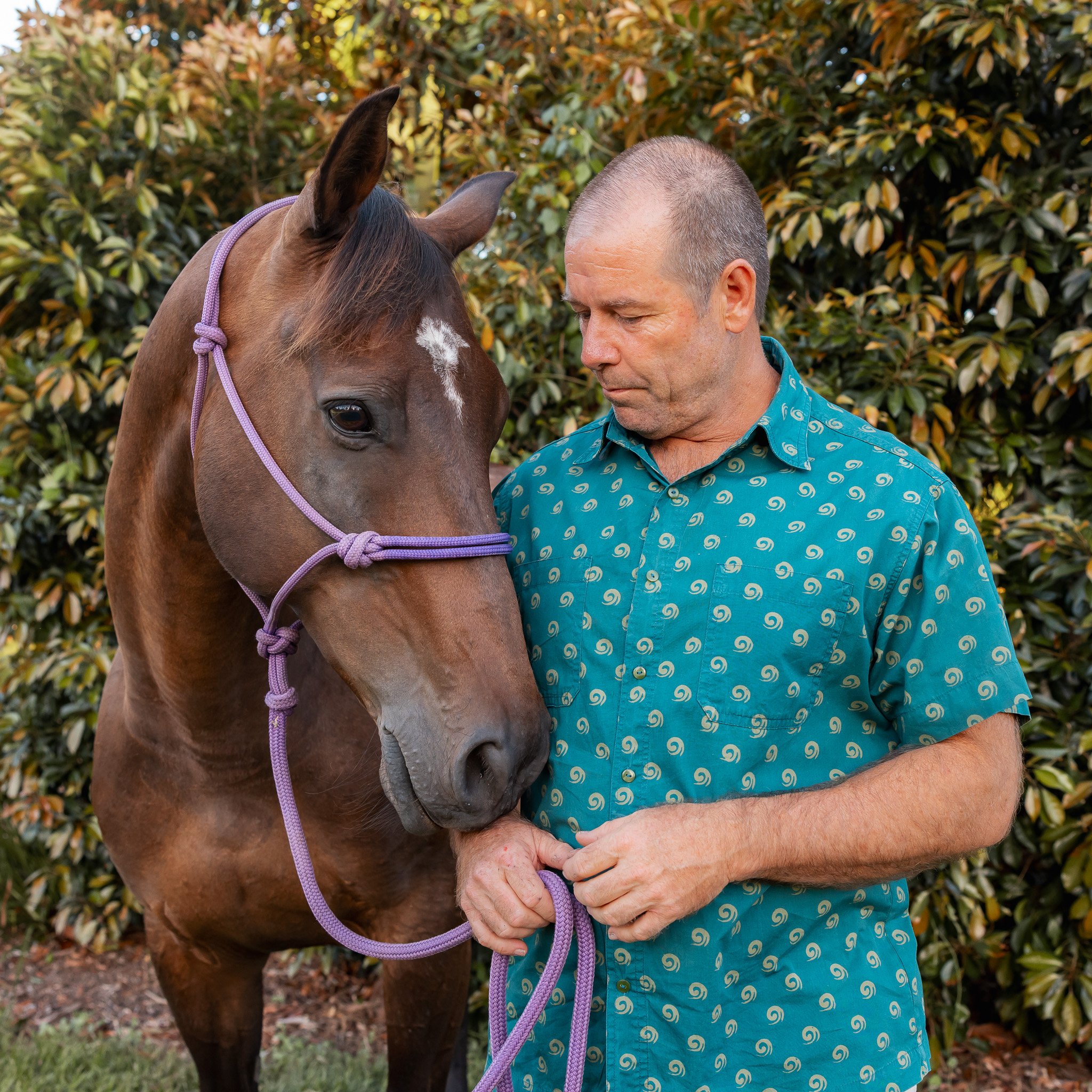 Man in green patterned shirt standing with a brown horse wearing a purple halter, in front of green foliage.