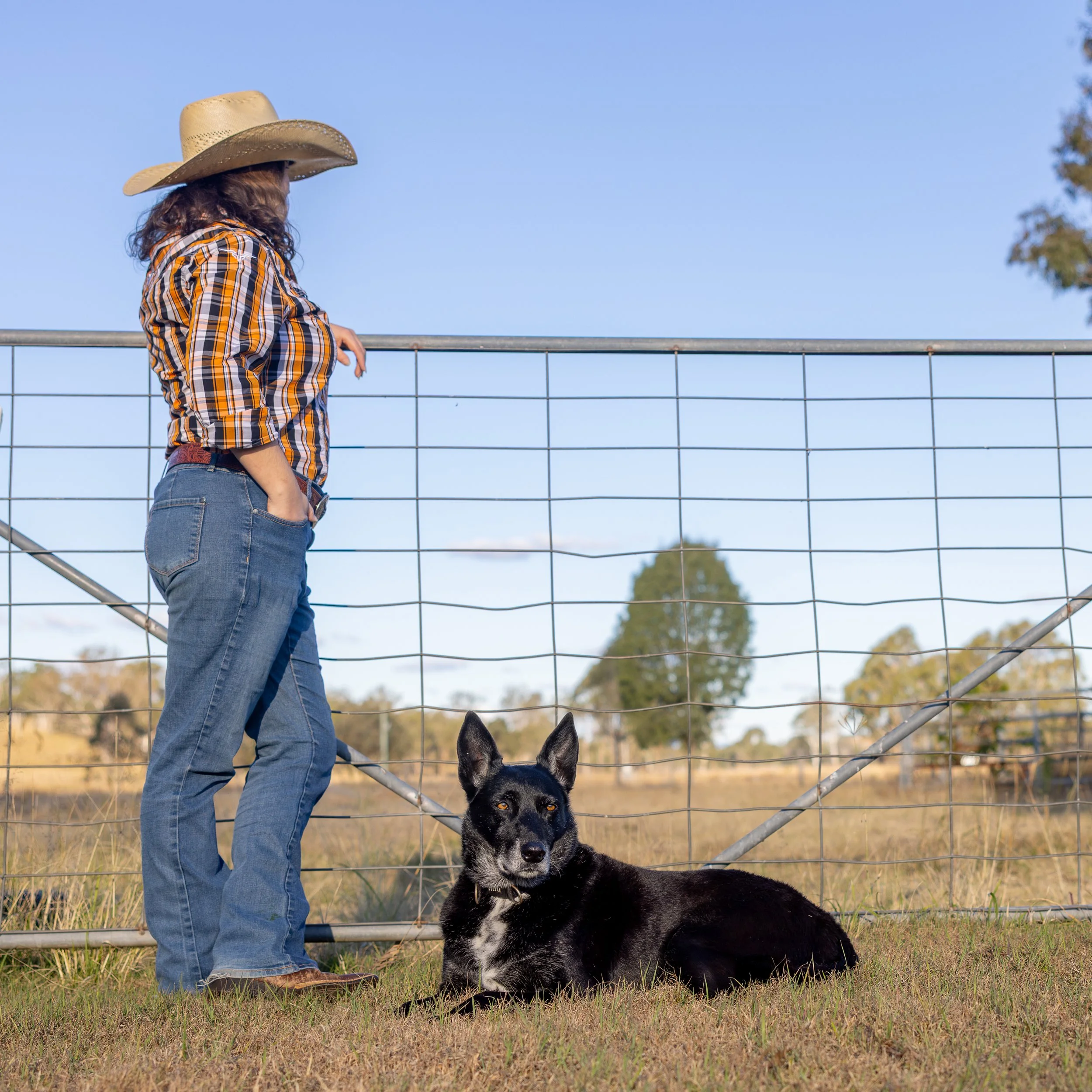 A woman wearing a cowboy hat, plaid shirt, and jeans is standing near a black and white Siberian Husky dog, with a metal fence and blue sky in the background.