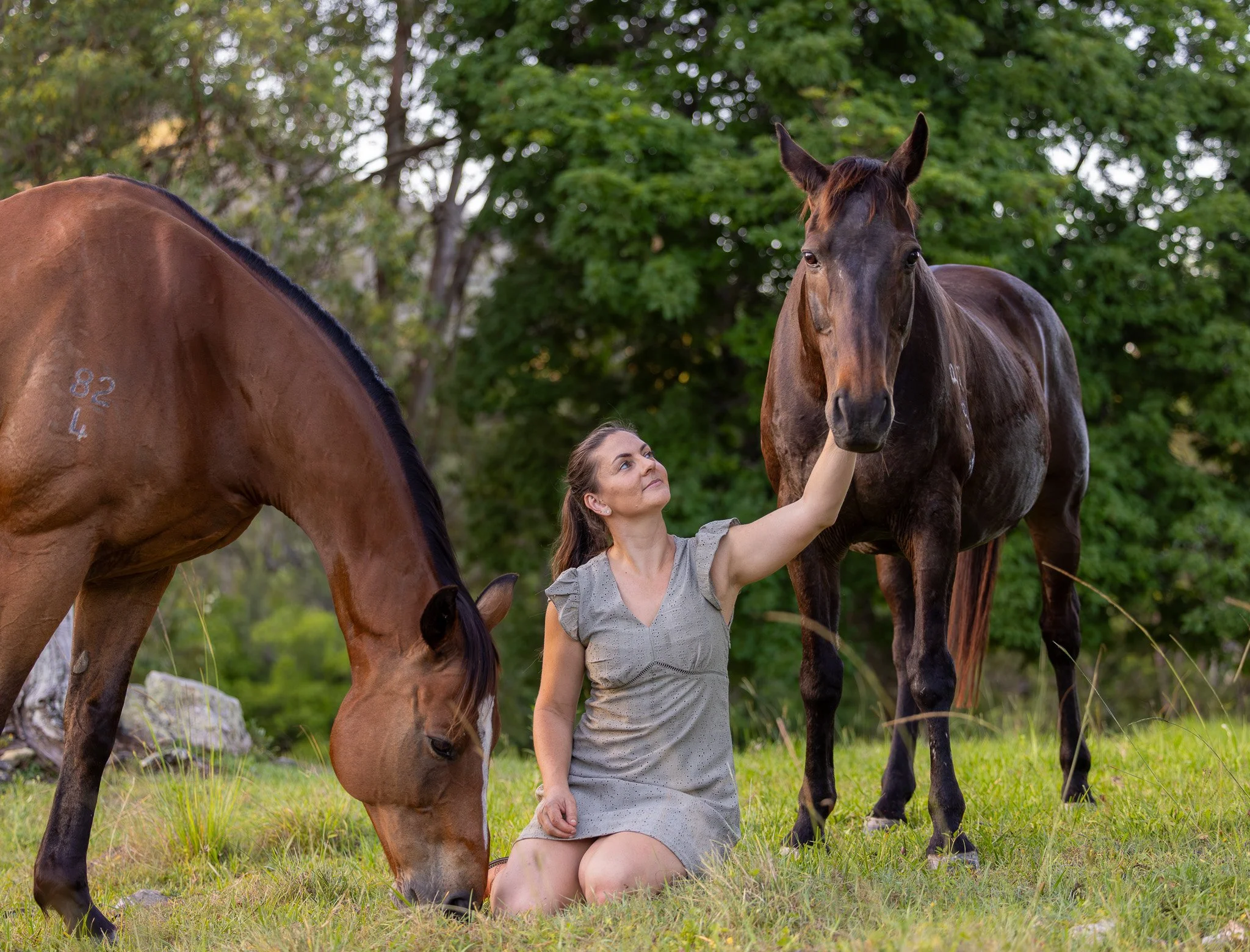 A woman with brown hair kneeling among three horses in a green outdoor setting with trees in the background. She is touching a dark brown horse's face, while a light brown horse stands nearby and another dark horse is partially visible.