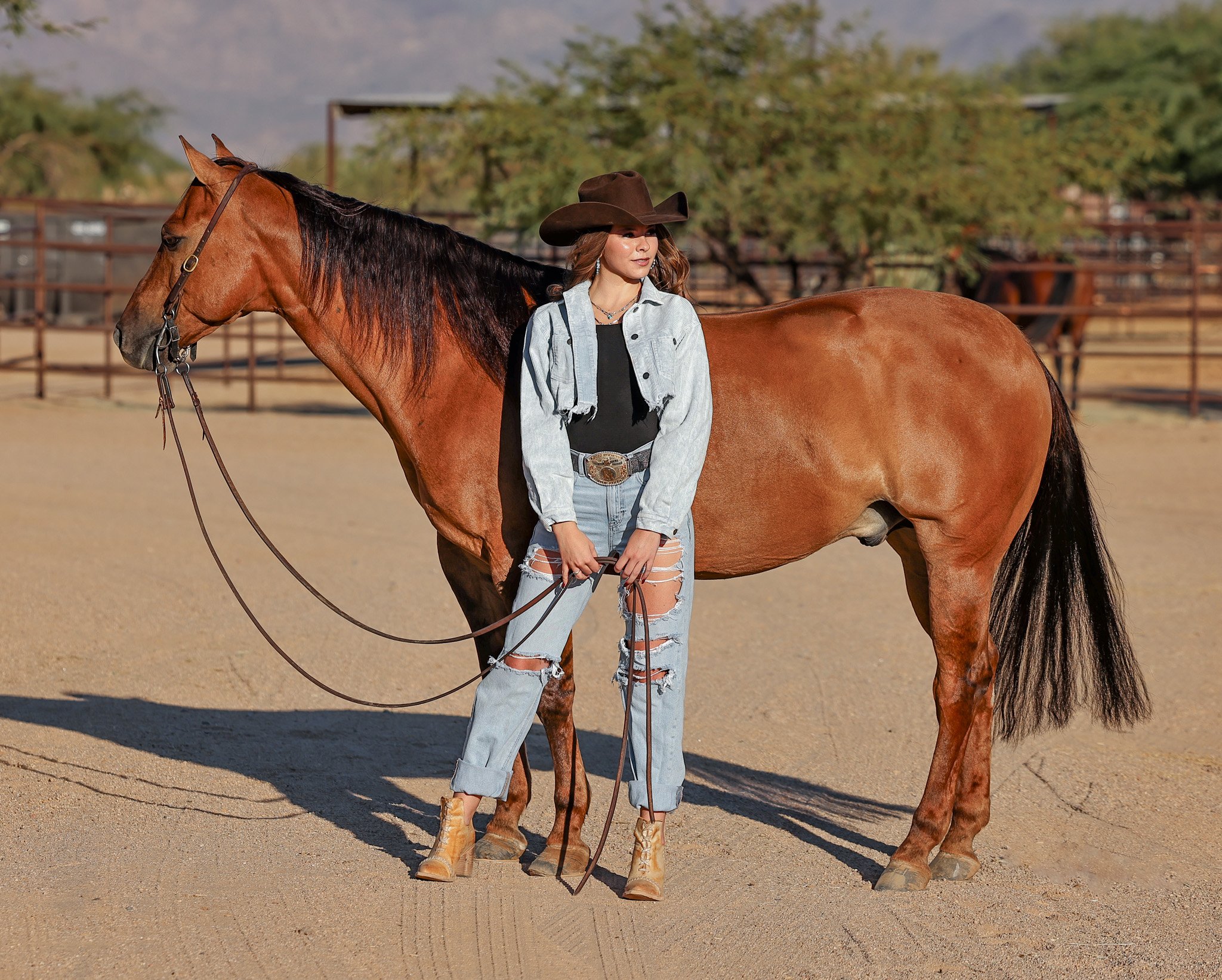Reining horse photoshoot