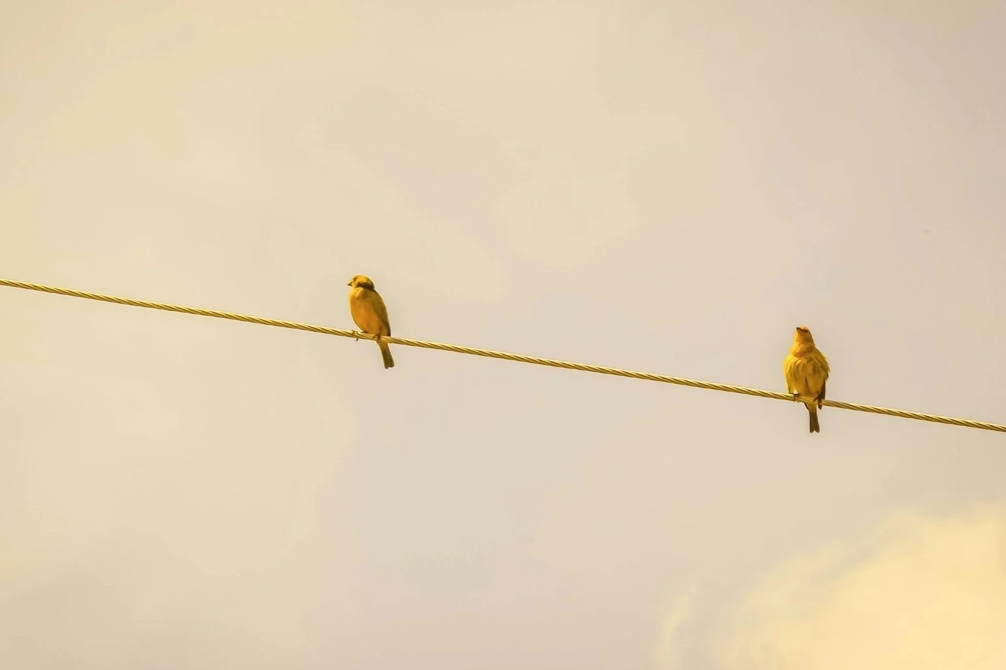 The Importance of Line Breaks: Enjambment as Creating Tension and Additional Meaning in Poetry