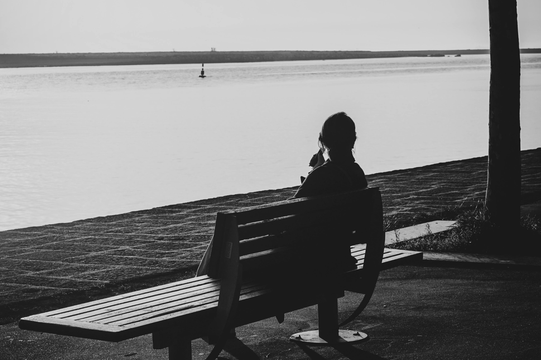 El Crepúsculo del Silencio: La Introspección como Acto Político