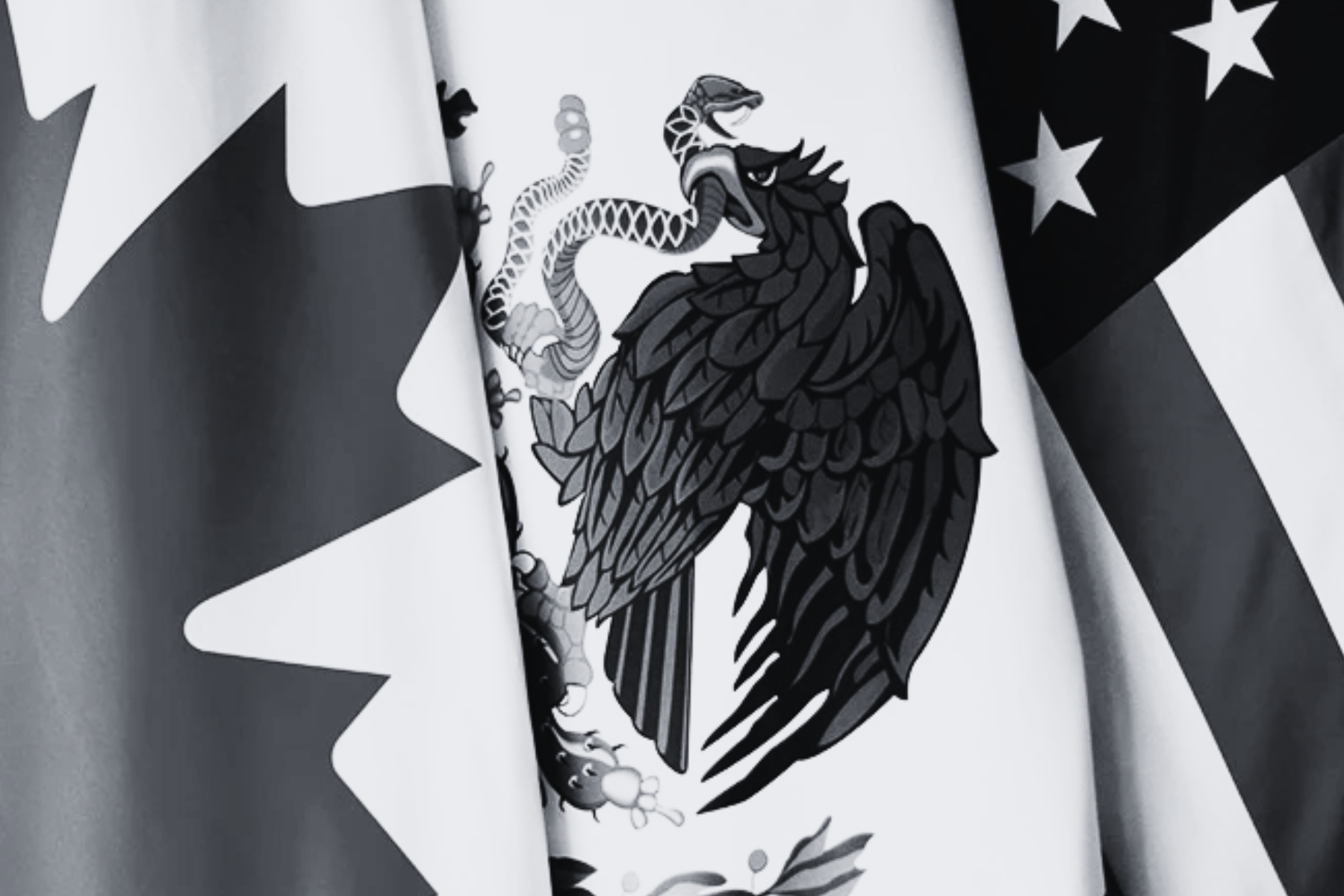 Integración o dependencia: la revisión del T-MEC en tiempos de proteccionismo