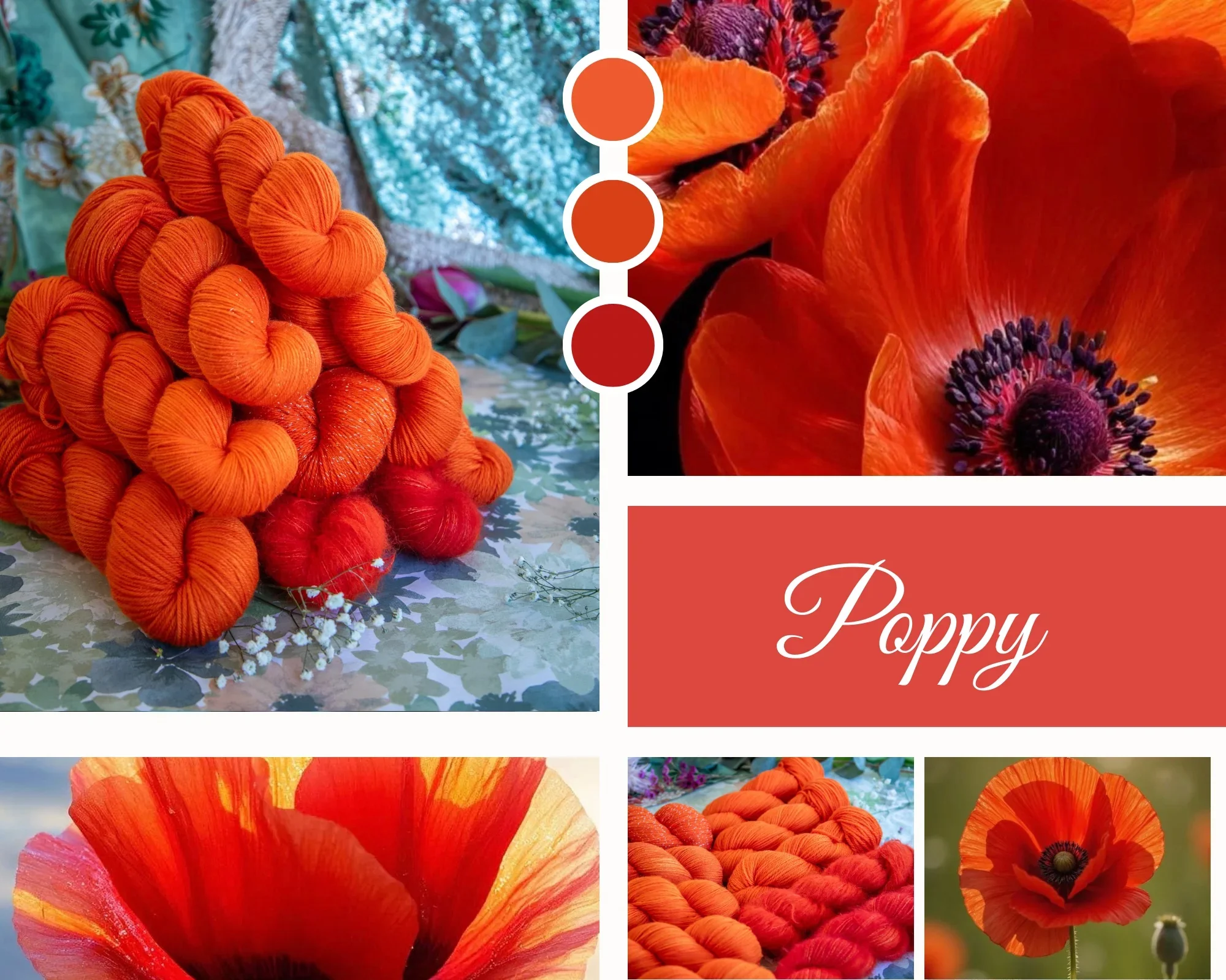 3769B07D-498E-452A-B309-DB16DFC5AE55_1024x1024@2x.webp