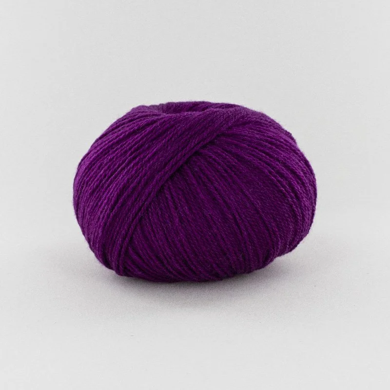 bb prune éectrique-0932.jpg