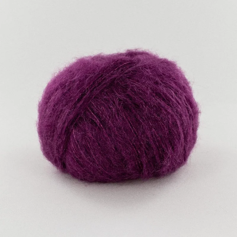 suri prune électrique-5020.jpg