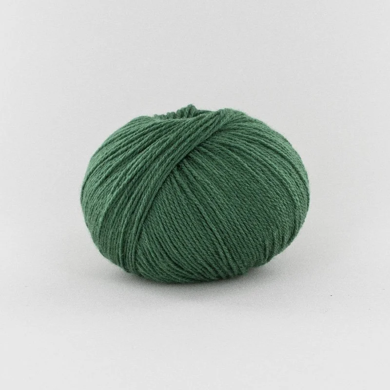 bb sapin 0949.jpg