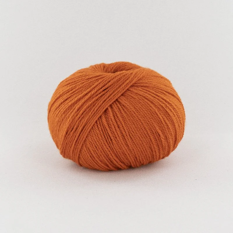 bb fox 0908.jpg