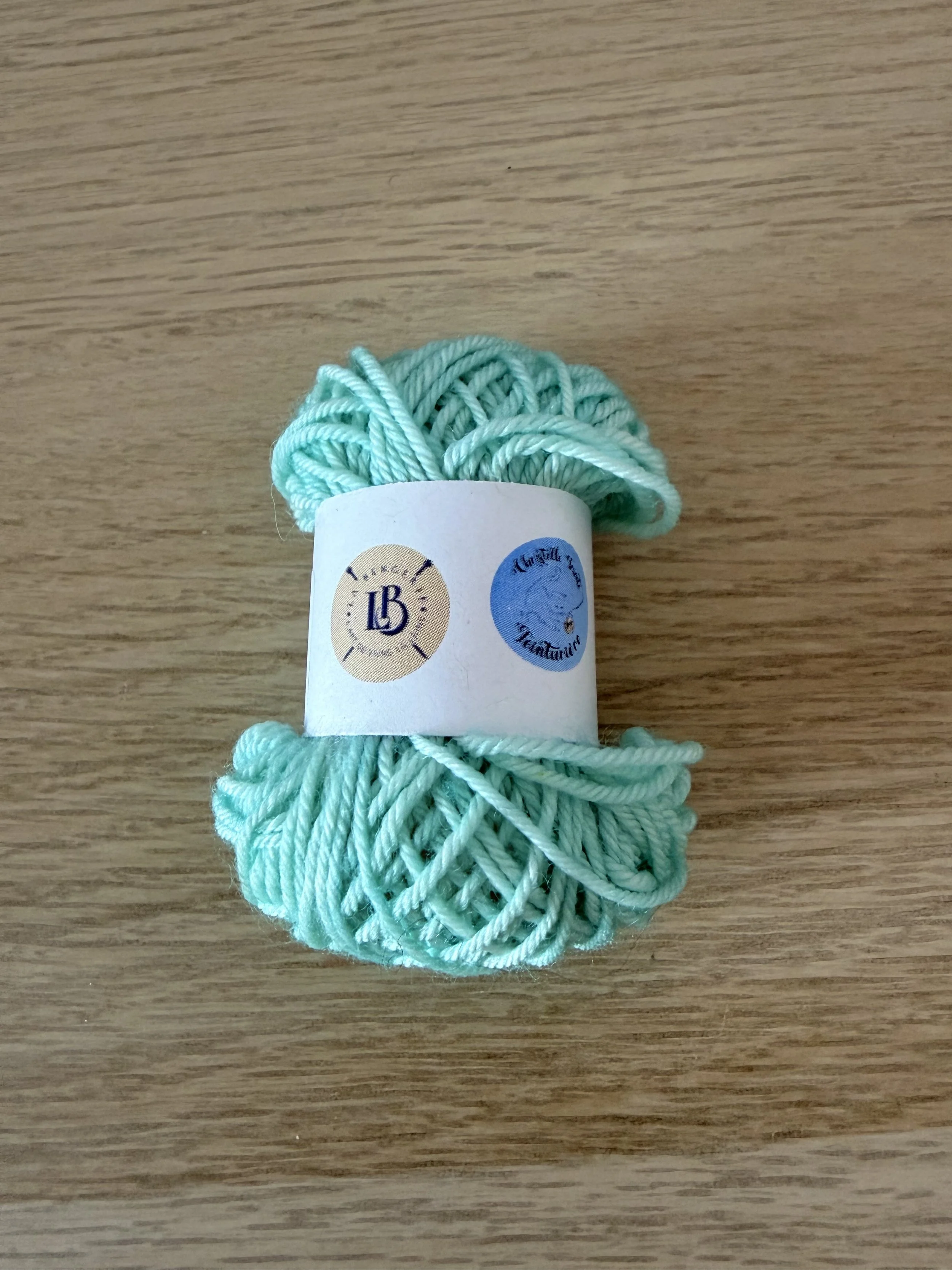 Mint - Christelle Tricote