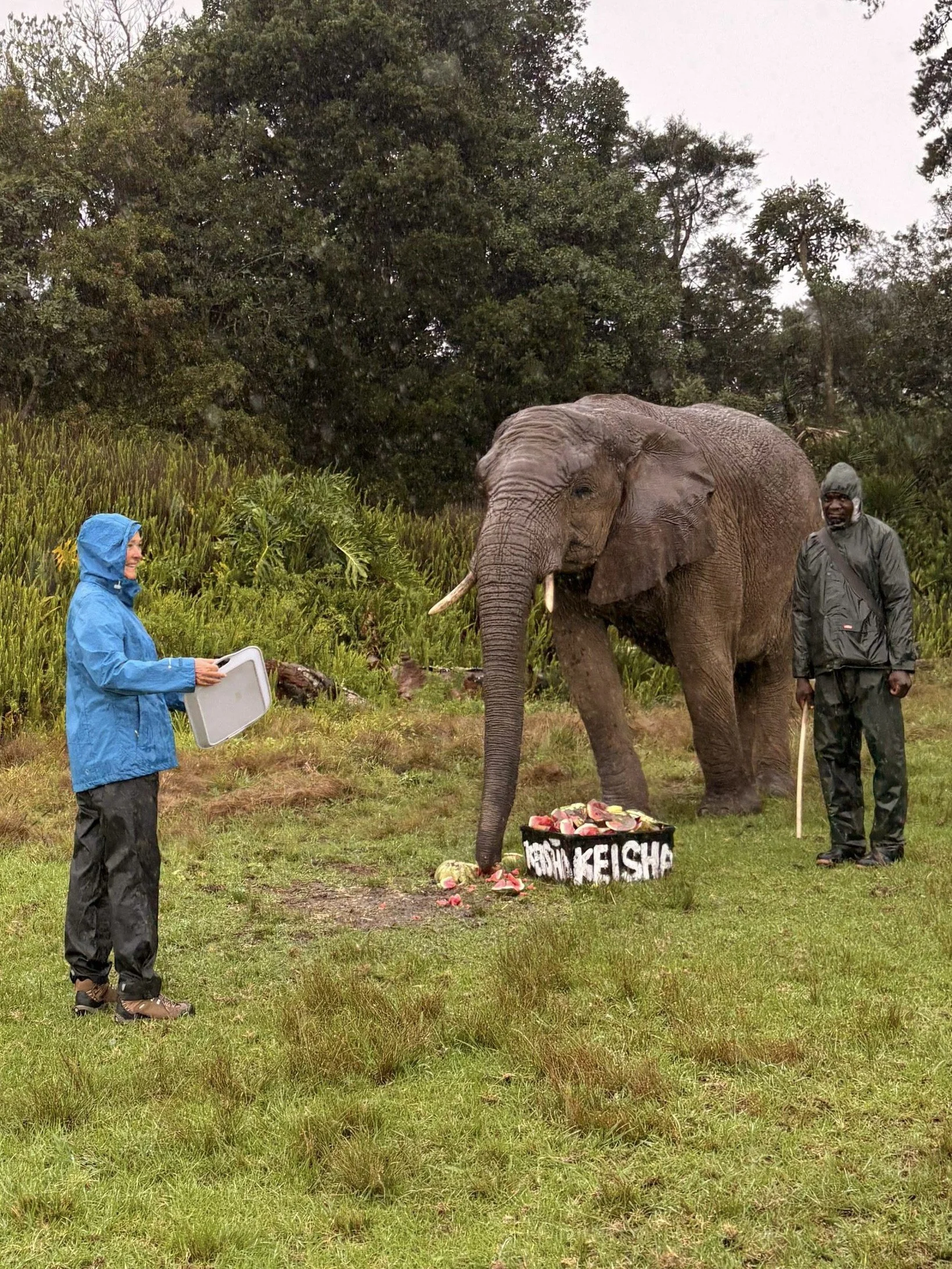 anjo keisha watermeloen.jpg