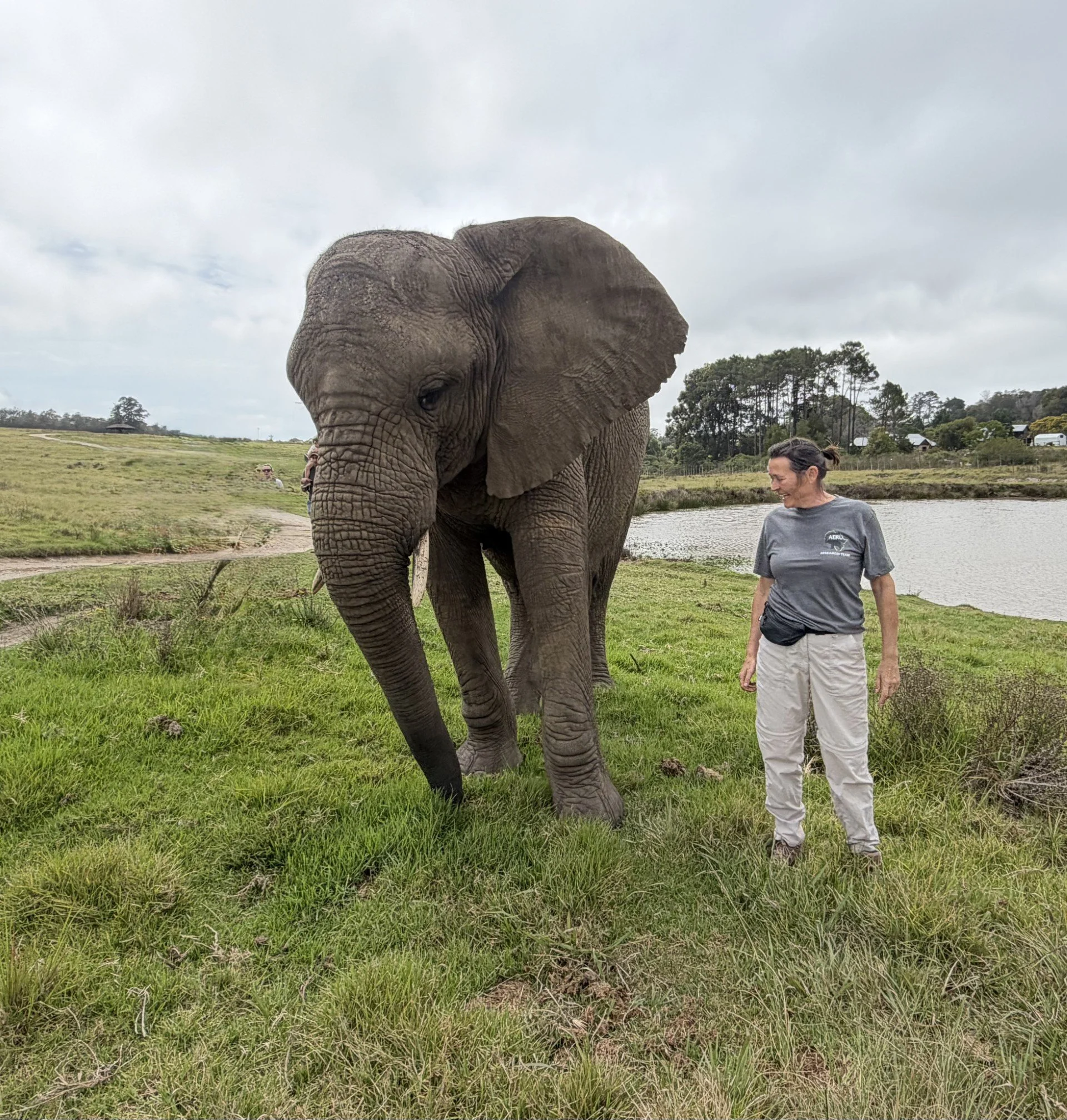 A Different Way of Traveling