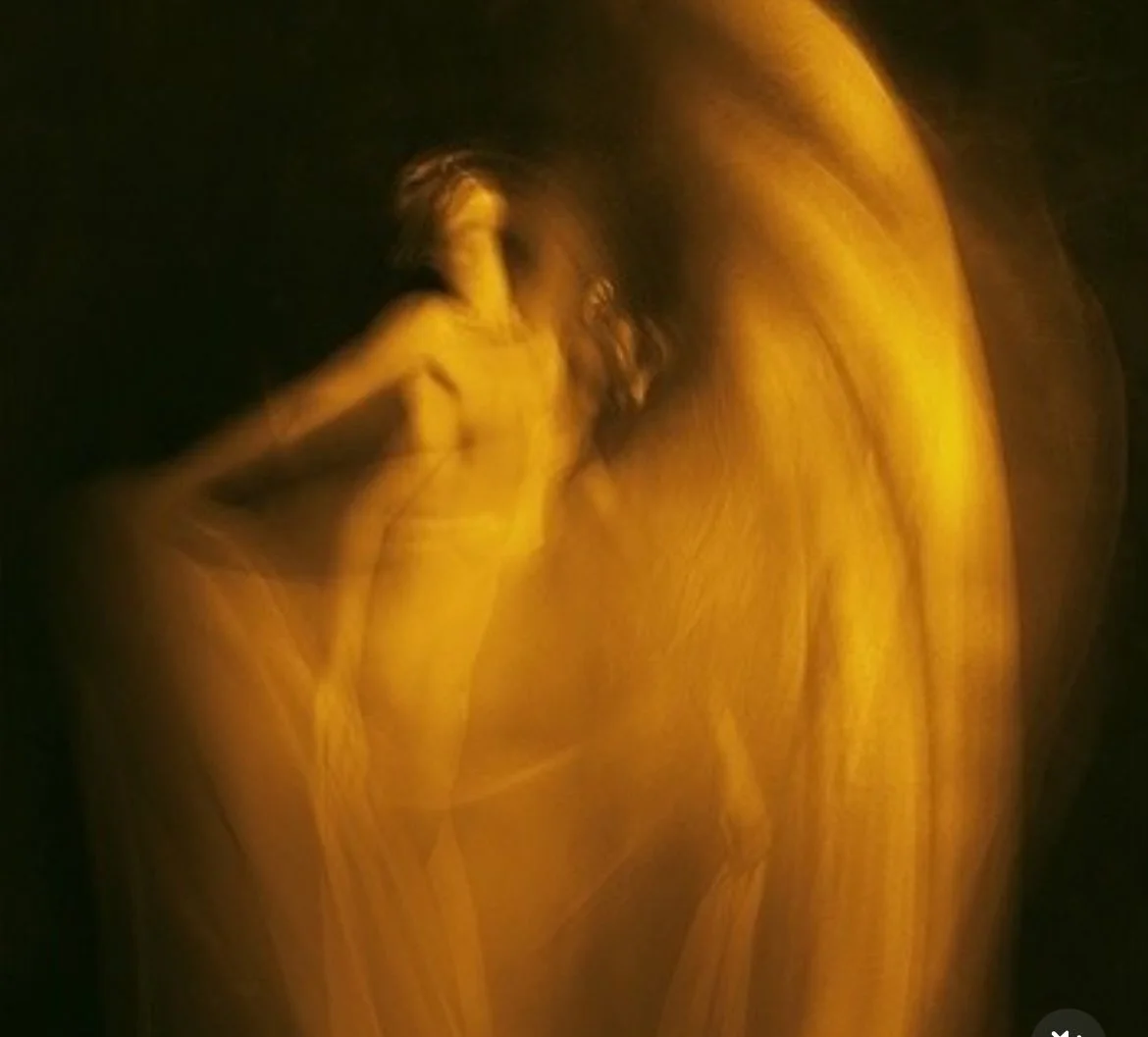 embodiment courses online