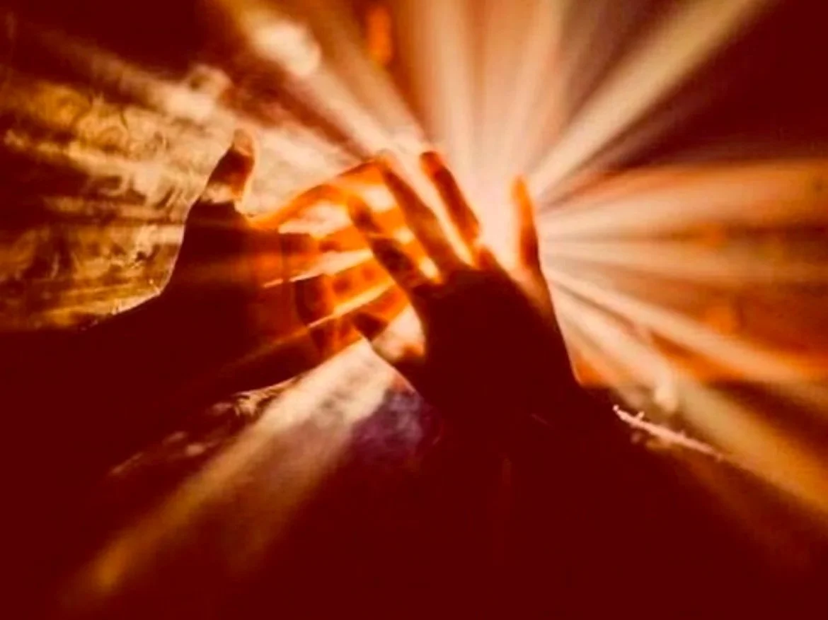embodiment courses online