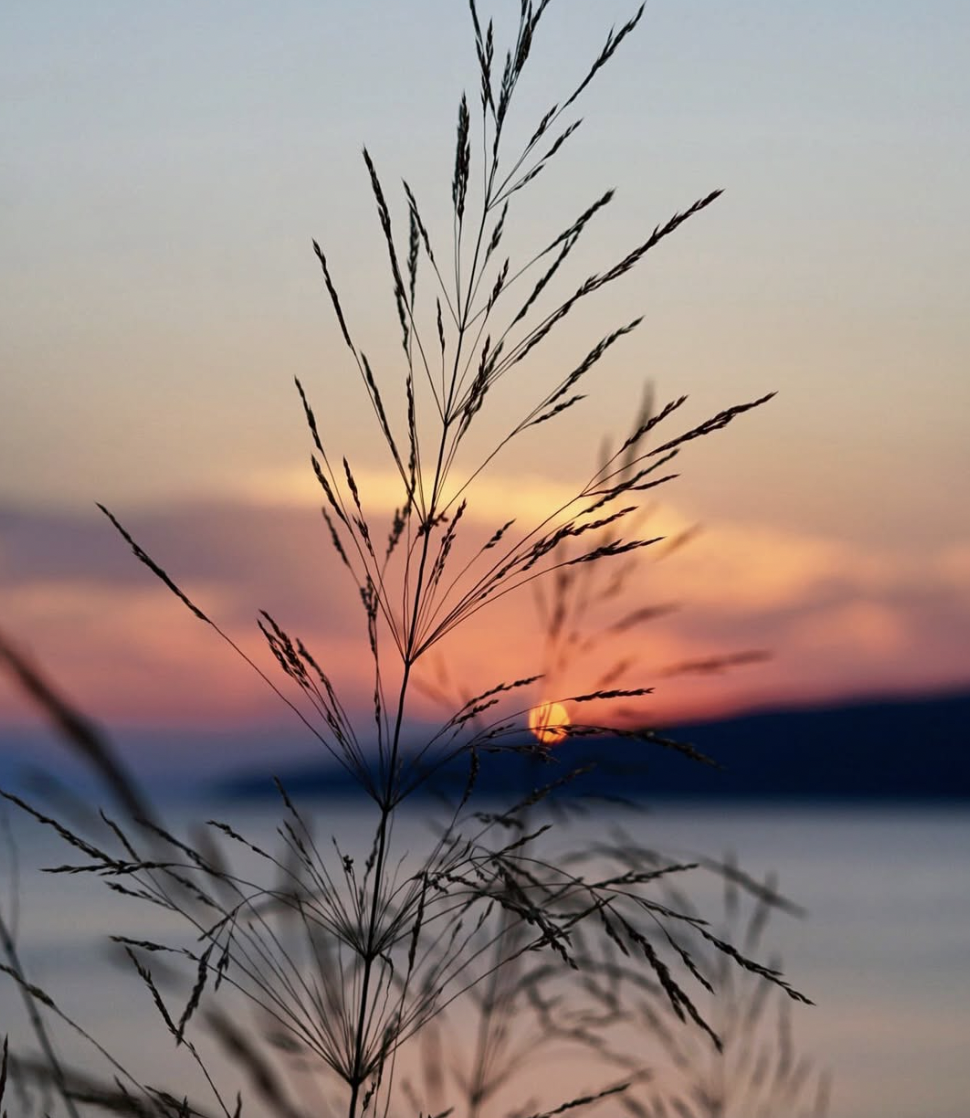 evia nature .webp