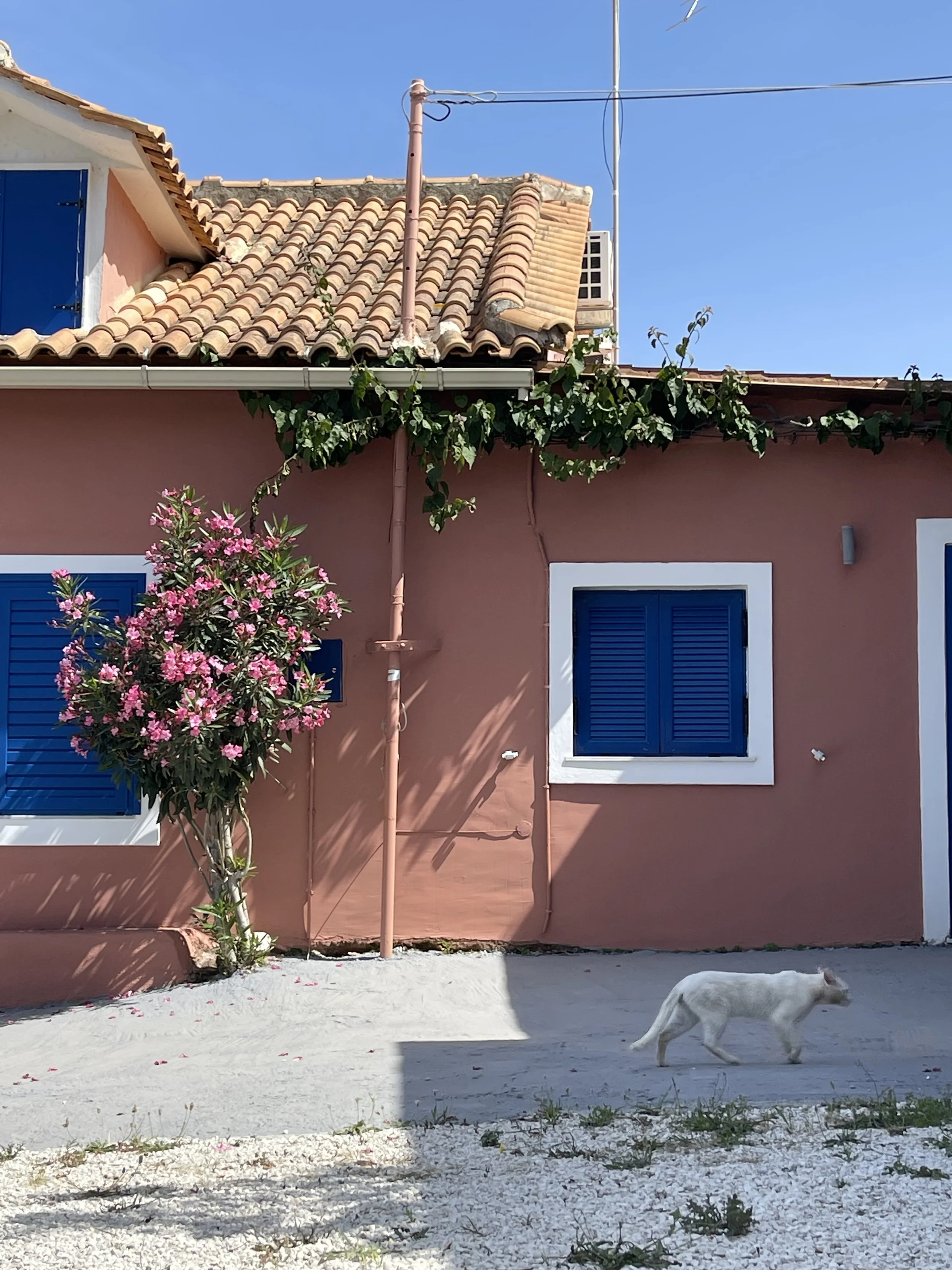 Photo 20-05-2025, 15 56 57.JPG