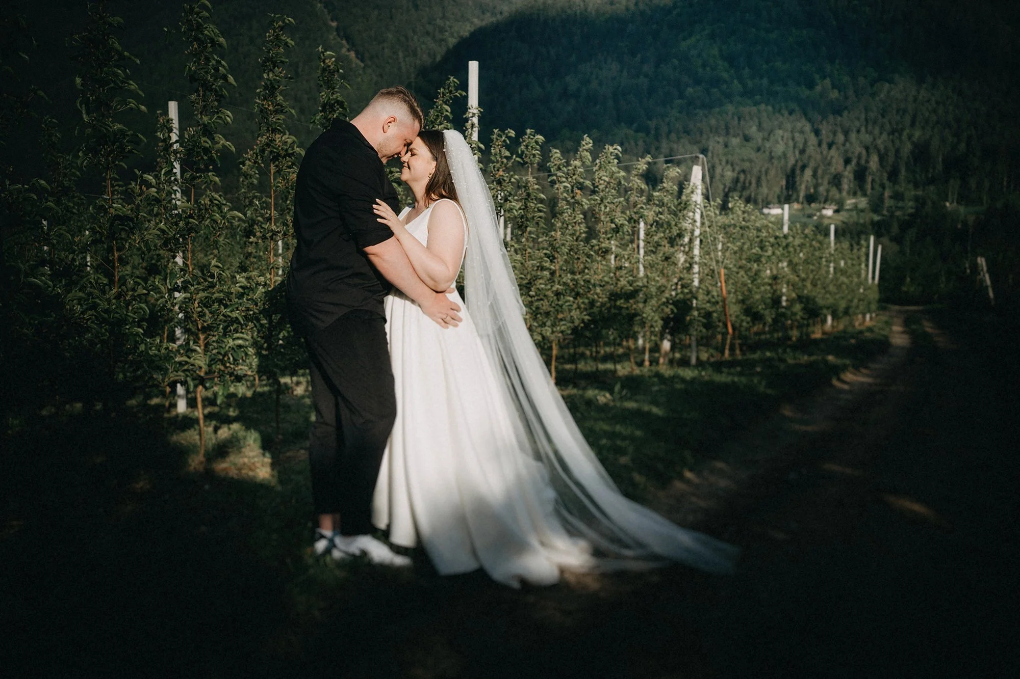 Ein Brautpaar steht sich in einer Weinberglandschaft liebevoll gegenüber. Die Frau trägt ein langes weißes Hochzeitskleid mit Schleier, der Mann trägt dunklen Anzug. Die Umgebung ist grün und von Hügeln umgeben.