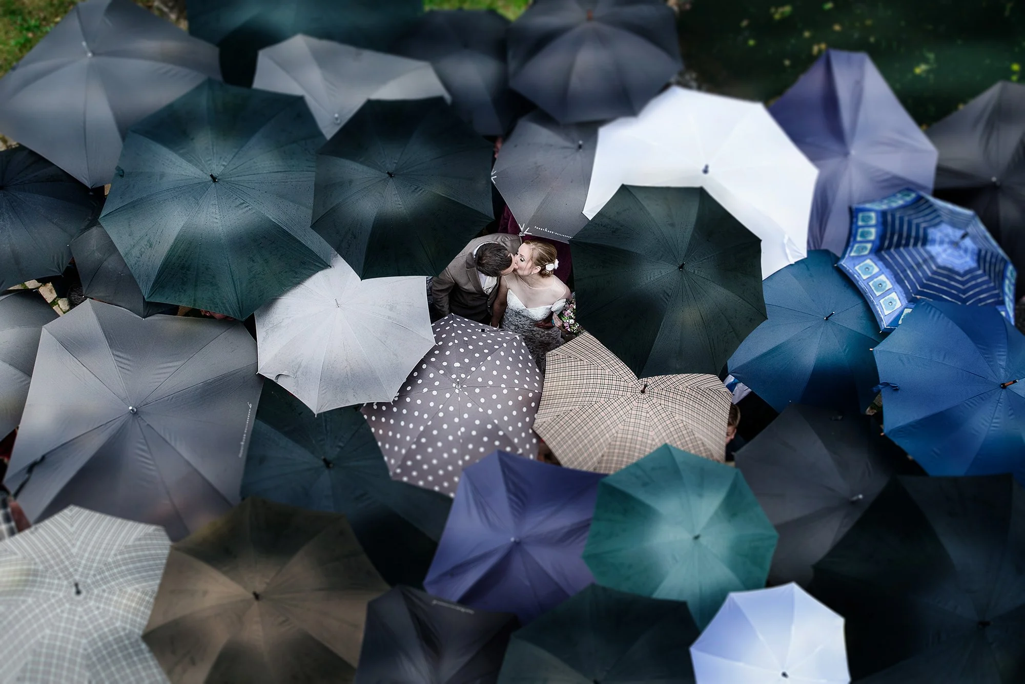 Ein Brautpaar küsst sich unter vielen Regenschirmen bei Regen.