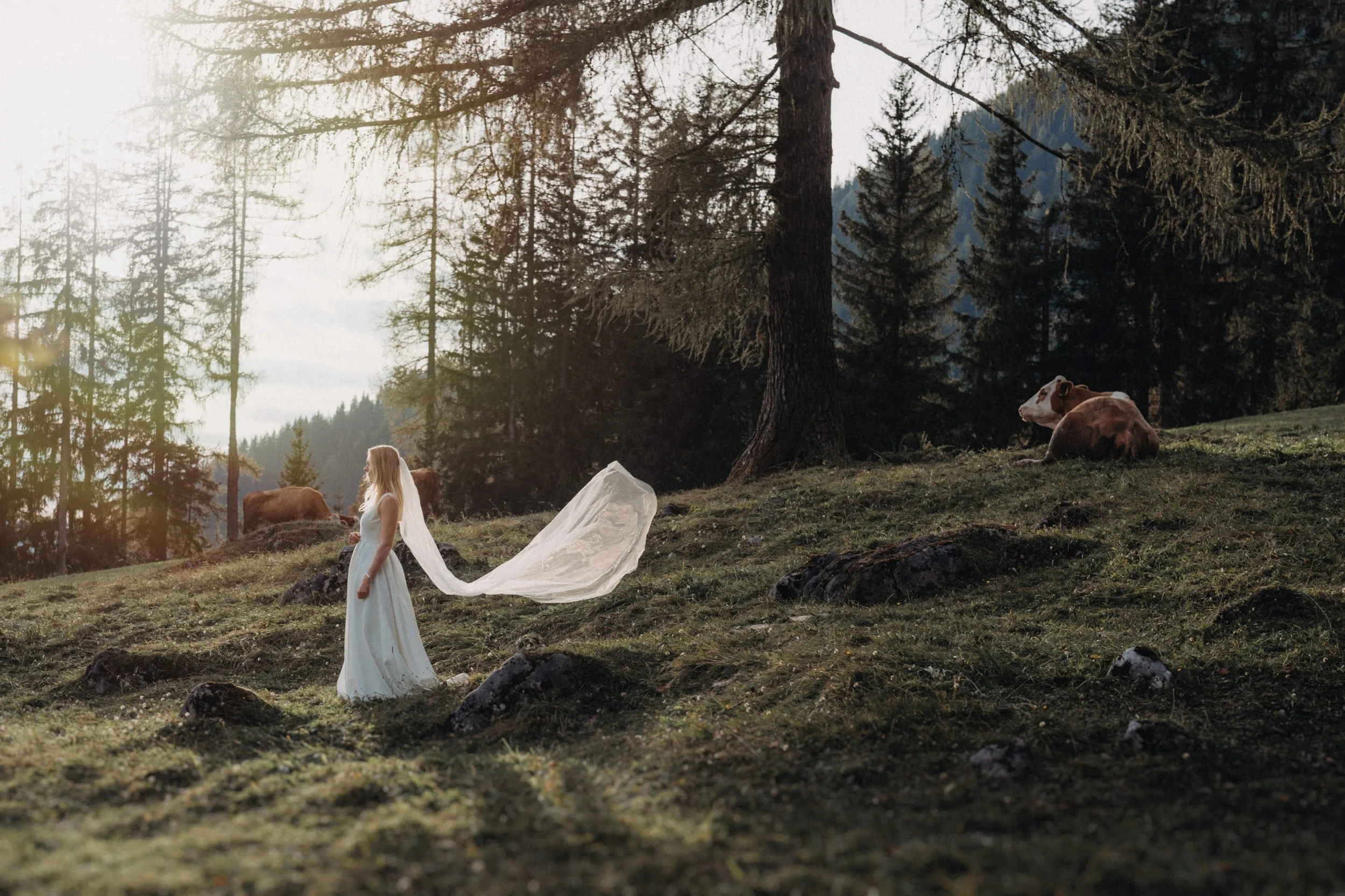 Junge Frau mit langen blonden Haaren in einem weißen Kleid steht in einem Wald mit hohen Bäumen, während fliegender Stoff im Wind hinter ihr. Es gibt Kühe im Hintergrund auf einer Wiese.