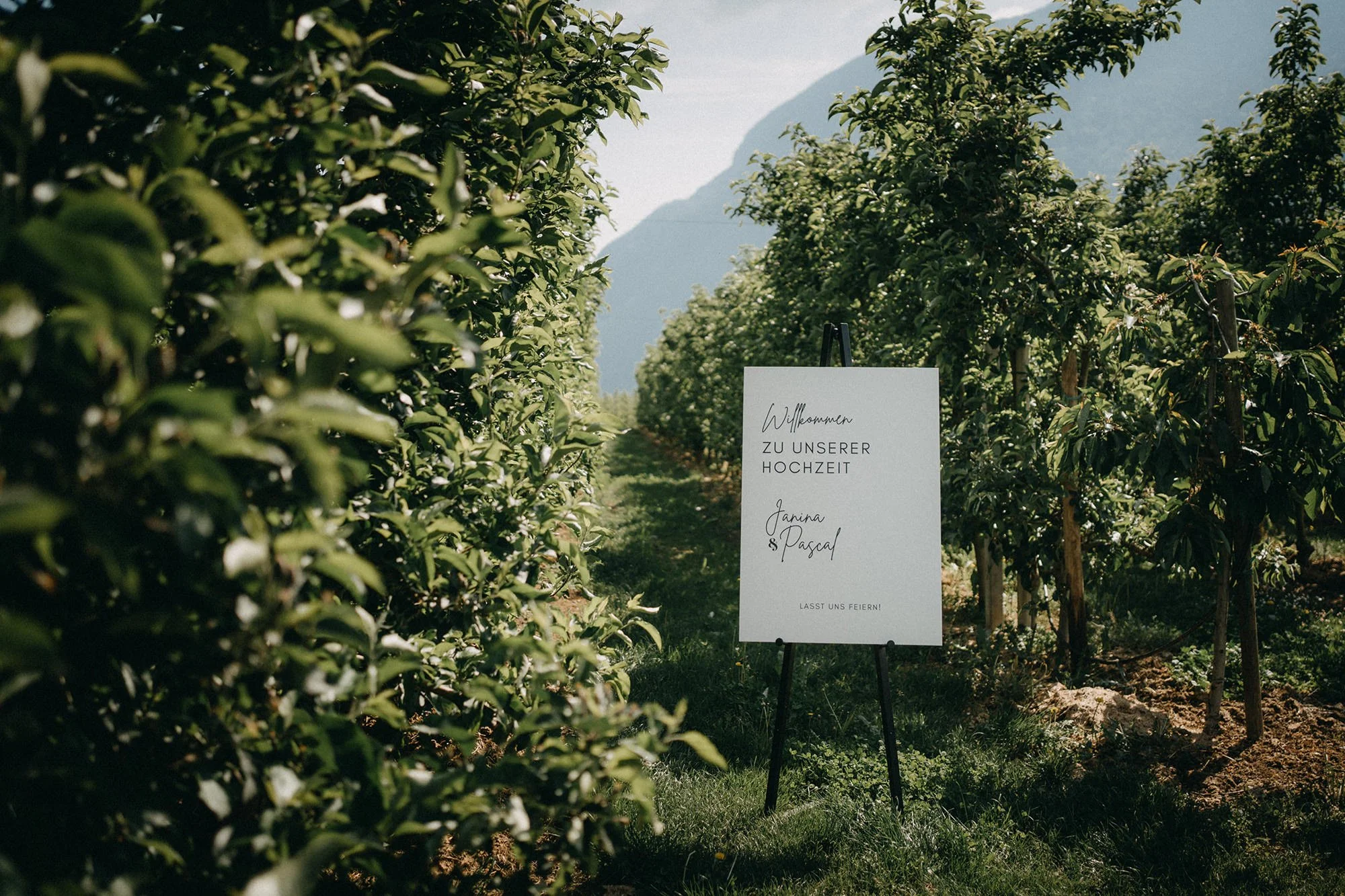 Ein Willkommensschild für eine Hochzeit in einem Weingarten mit grünen Weinreben und Bergen im Hintergrund.