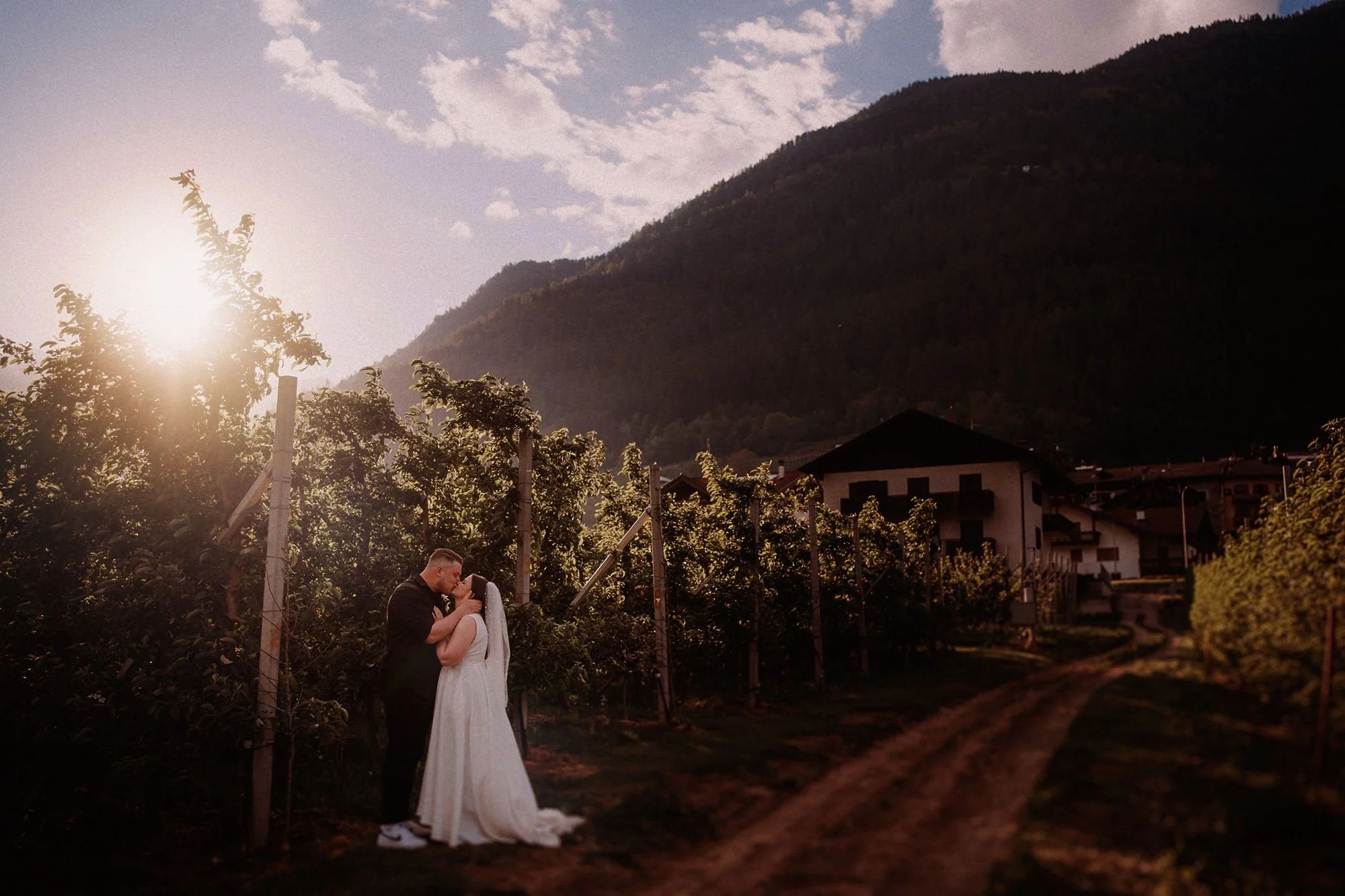 Ein Brautpaar umarmt sich im Sonnenuntergang in einem Weinberg mit Bergen im Hintergrund.