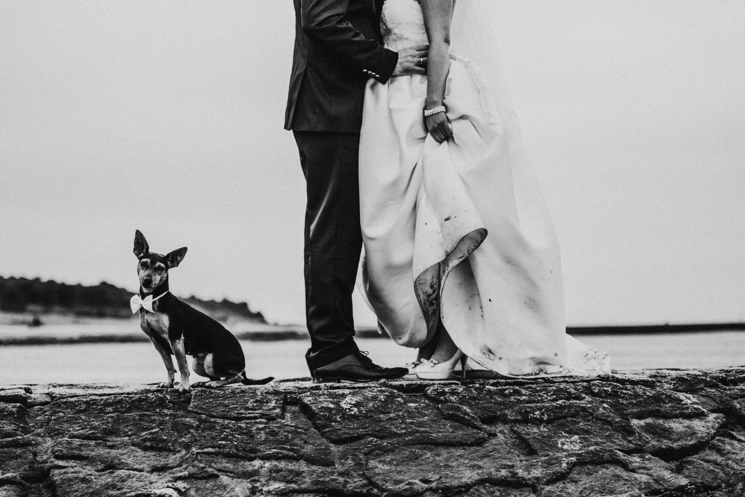 Ein Brautpaar steht am Strand, sichtbar nur von den Schultern abwärts. Die Braut trägt ein langes Hochzeitskleid, der Bräutigam trägt einen schwarzen Anzug. Ein schlauer Hund mit Fliege sitzt auf dem Boden neben ihnen.
