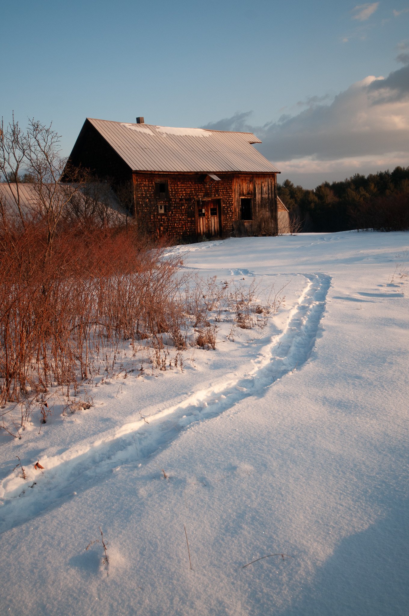 Snowy Foot Path to Barn