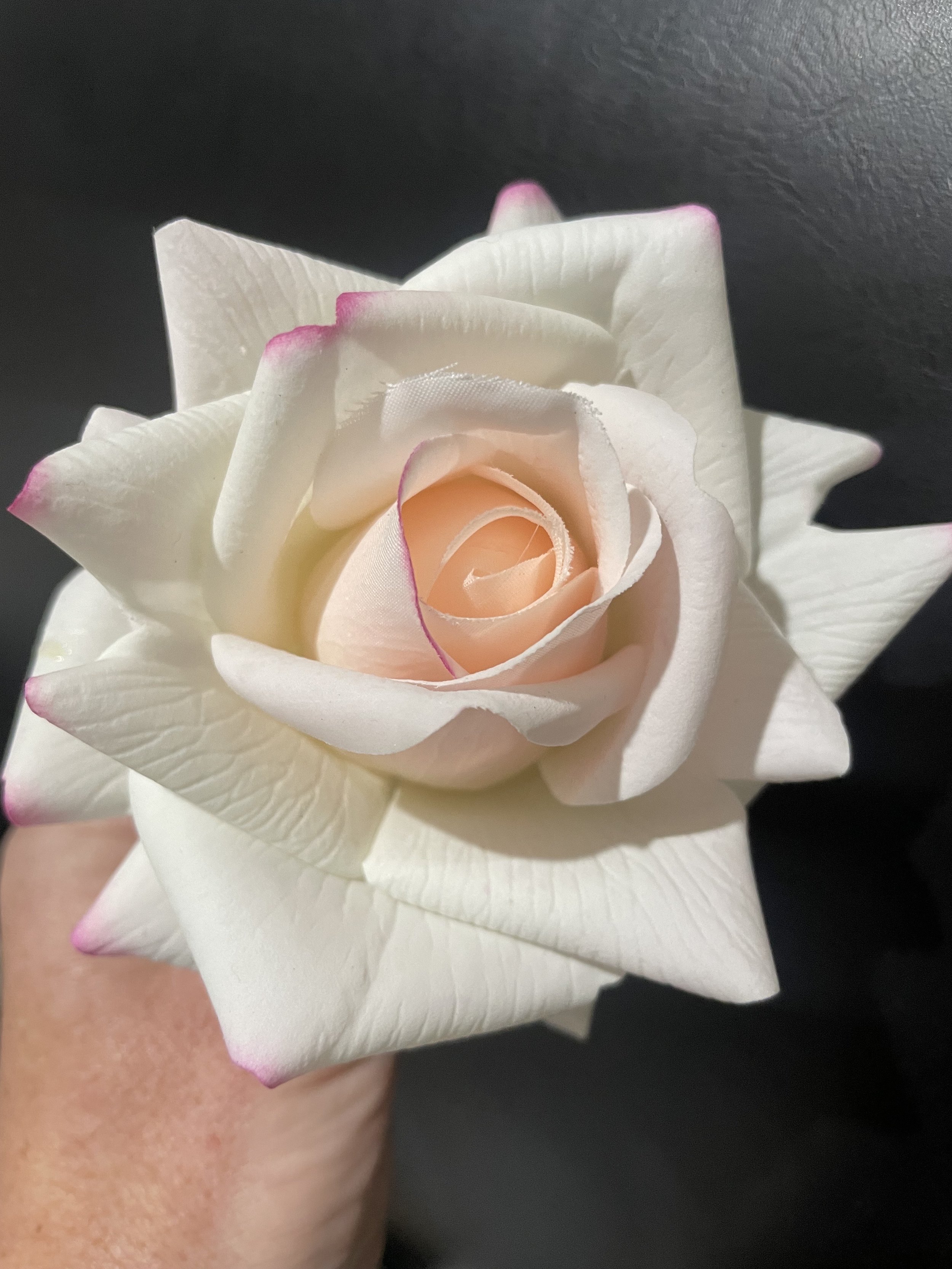 ombre pink rose.jpeg