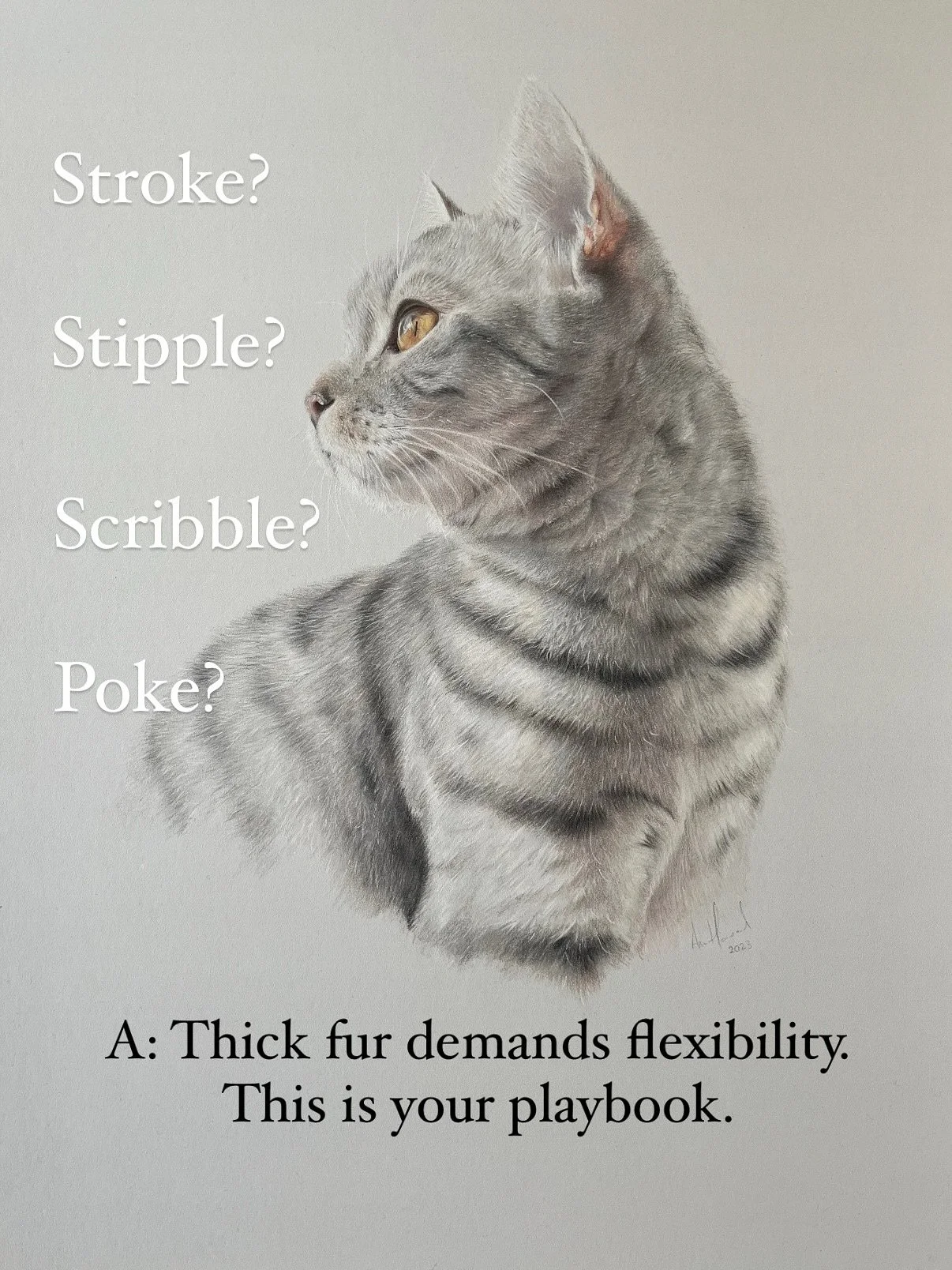 You don&rsquo;t need to draw every hair.

You just need to know how the fur feels &mdash; and choose your mark.

&rarr; Soft and flowing? Stroke.
&rarr; Bristly and stubborn? Stipple.
&rarr; Thick and tangled? Scribble.
&rarr; Building depth? Poke fr