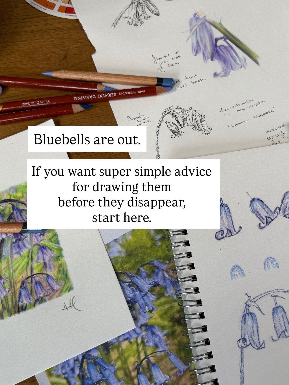 It&rsquo;s bluebell season here in the UK!

From 10-second sketches to 10 hours of coloured pencil artwork, bluebells start in my head the same way. I build the same shapes and follow the curves in the same direction.

Step 1: The Bell
Draw in three 