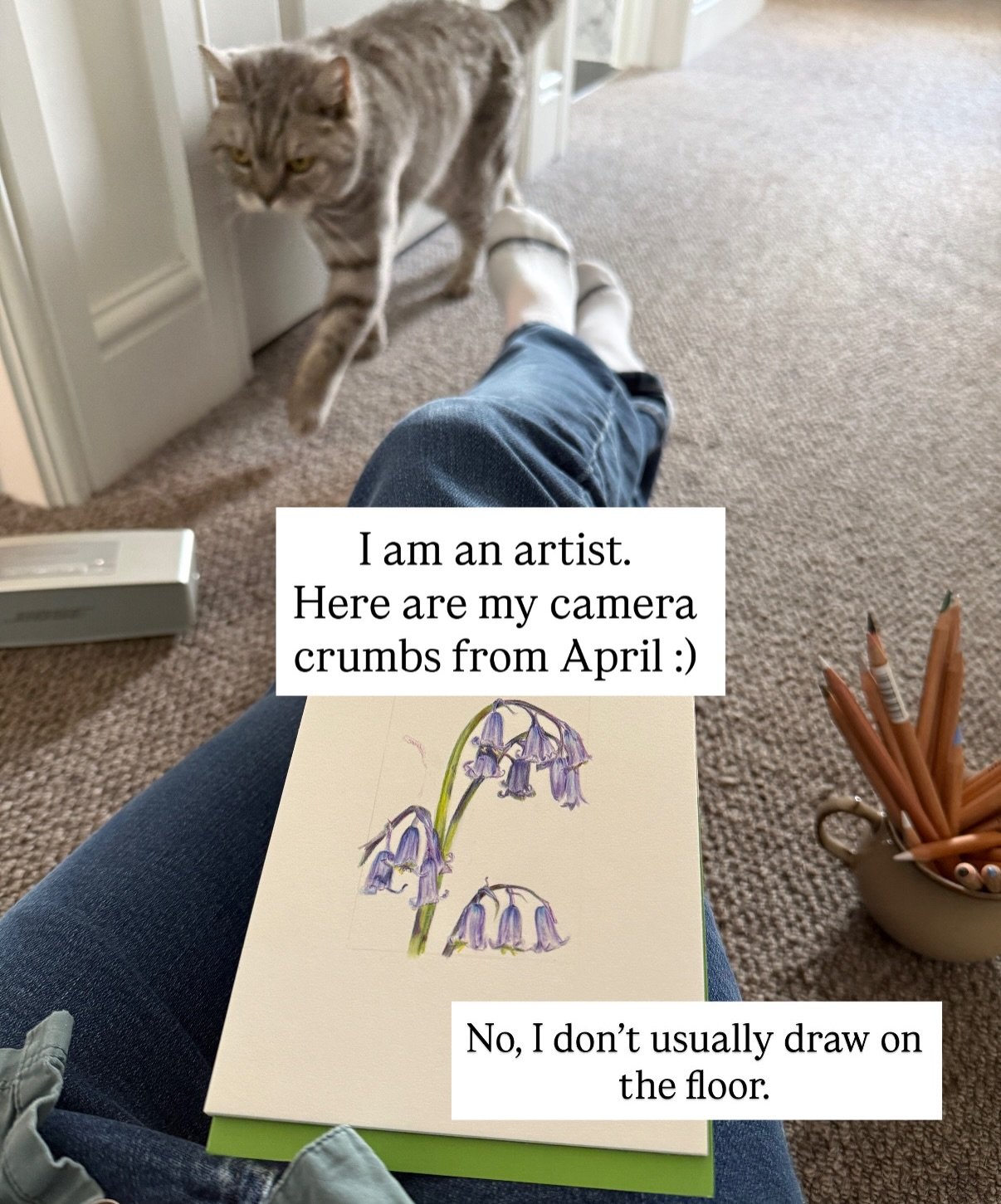 I&rsquo;m a coloured pencil artist. I write a weekly newsletter* supporting other artists and from time to time I run online workshops. 

We&rsquo;re currently careening into May and although I felt I&rsquo;d not got much to show for April, here it i