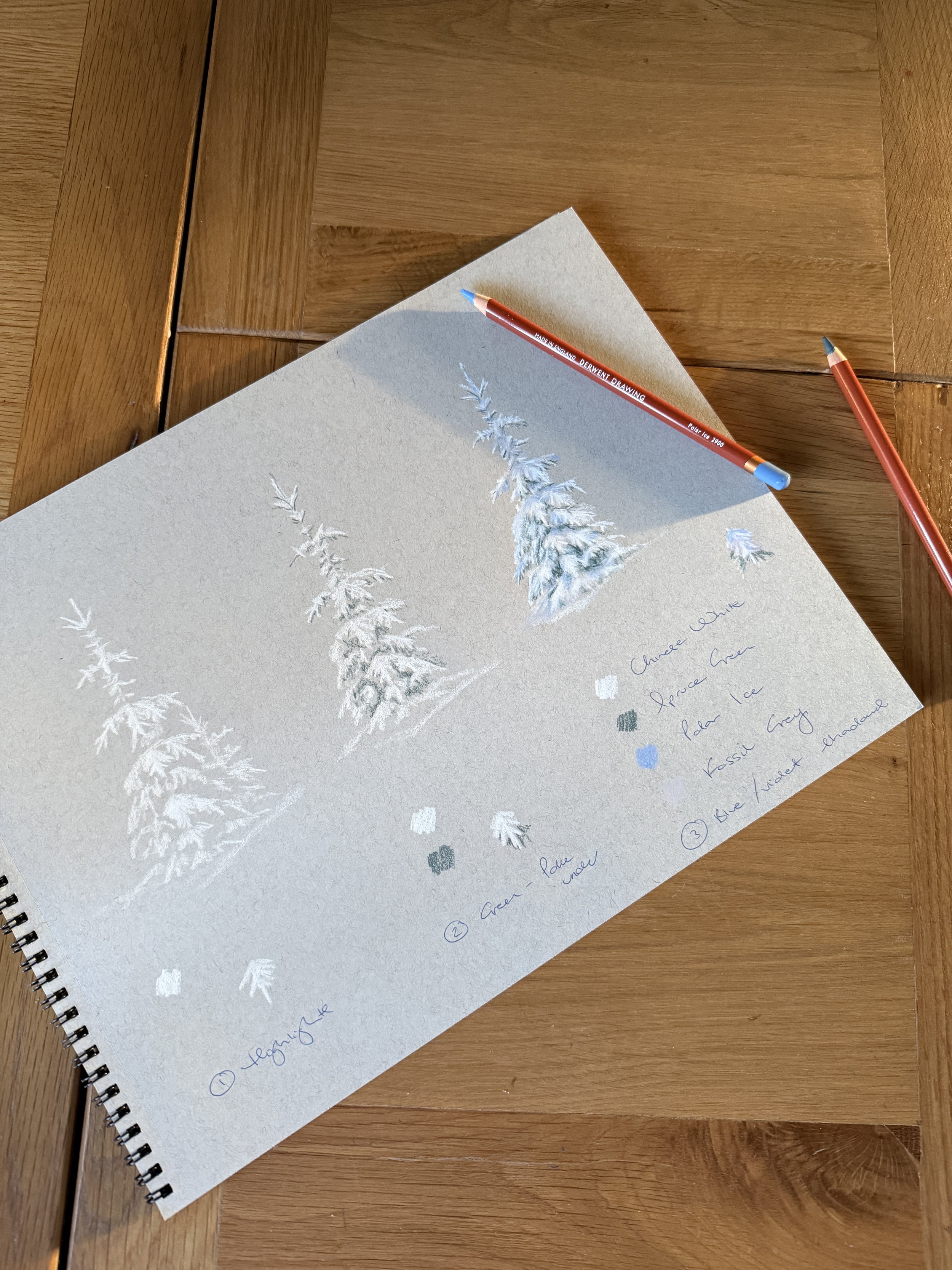 drawing of snowy fir trees