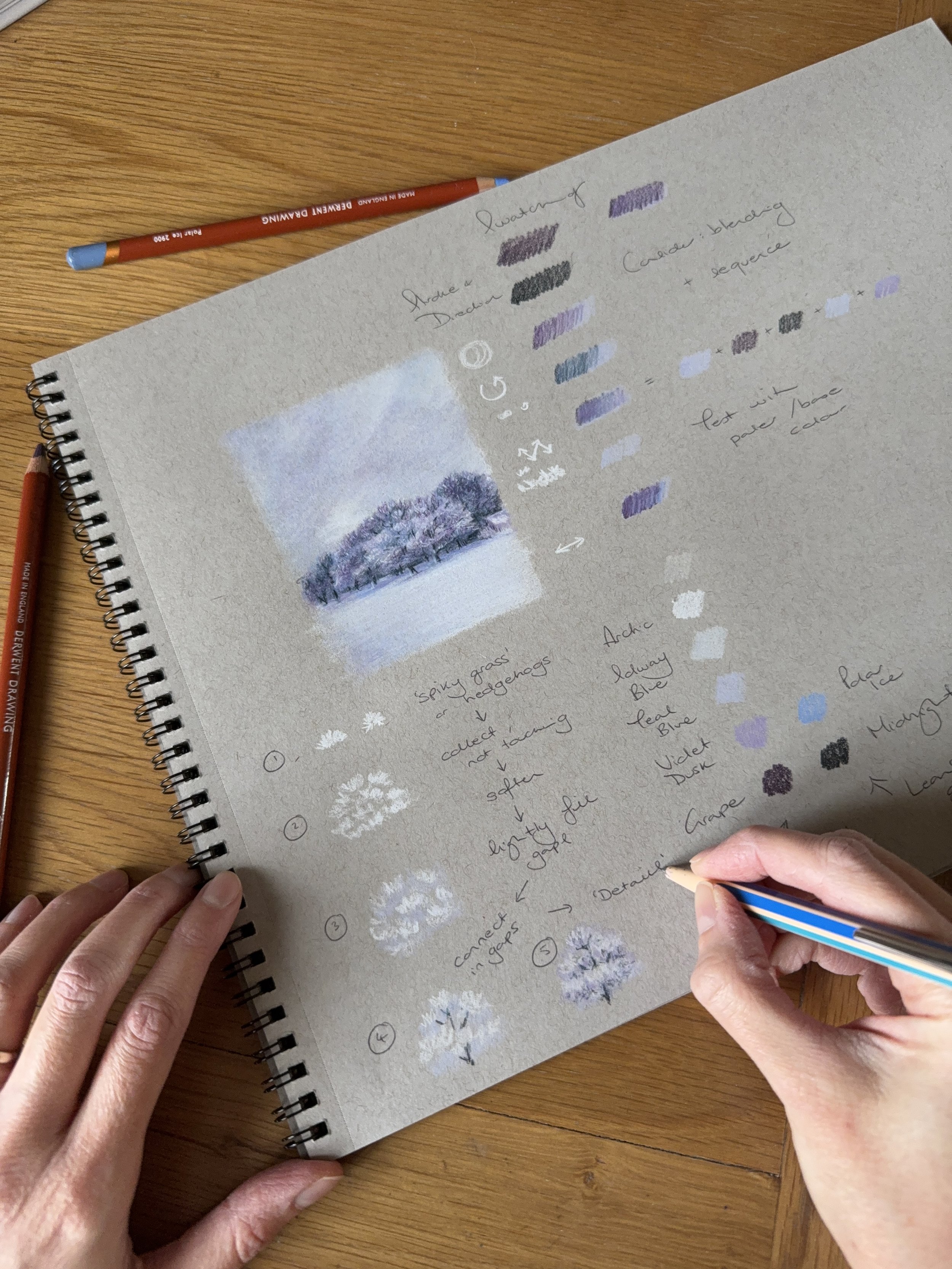 Snowy trees sketch - Amii Harwood