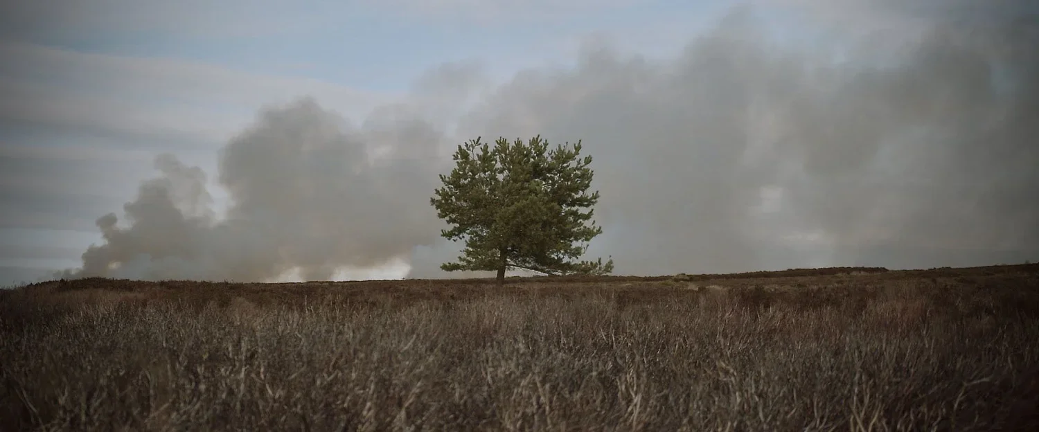 All Points North - BFI