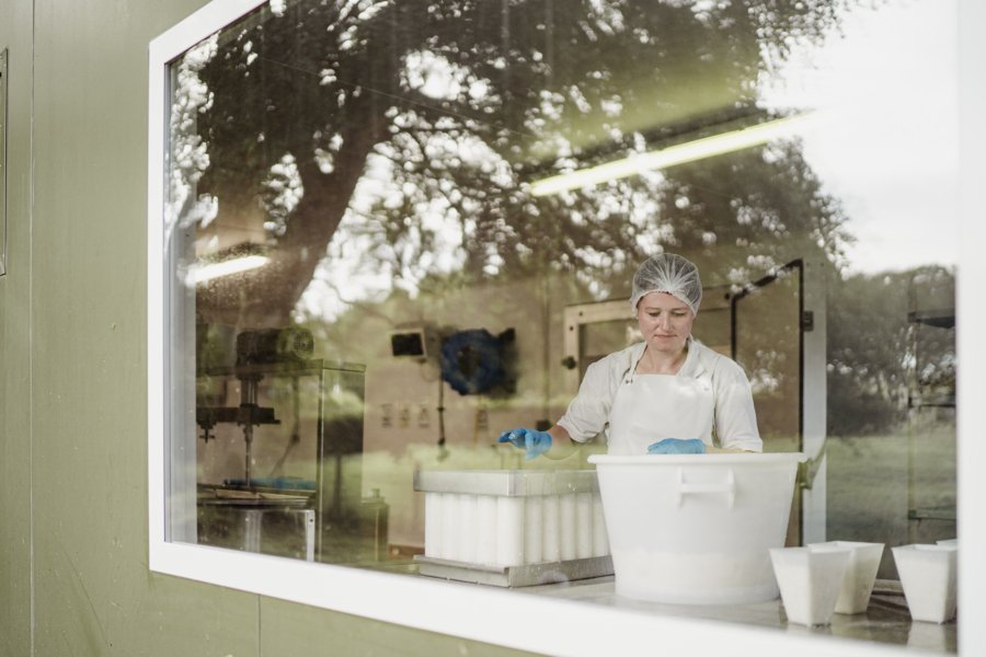 A woman making cheese by hand on a farm seen through a window