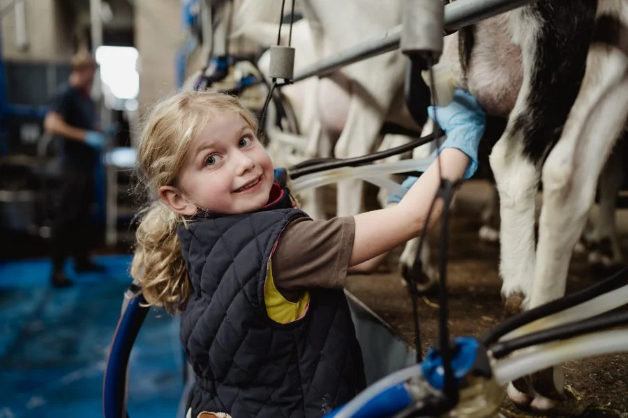 the daughter of a farmer milking a goat so it can be used to make cheese