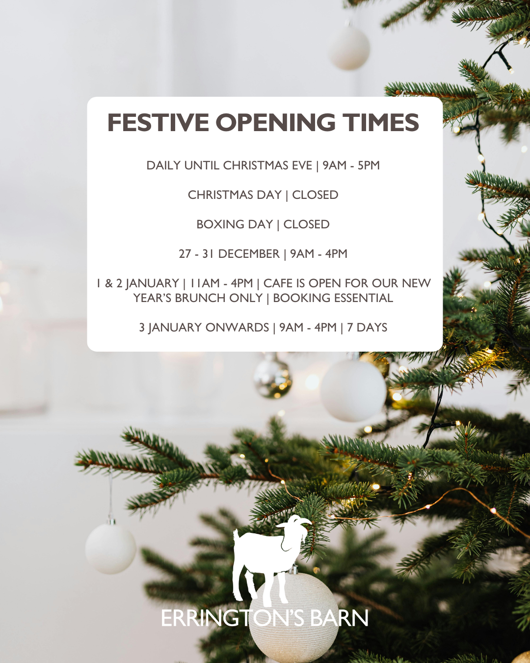 FESTIVE OPENING TIMES