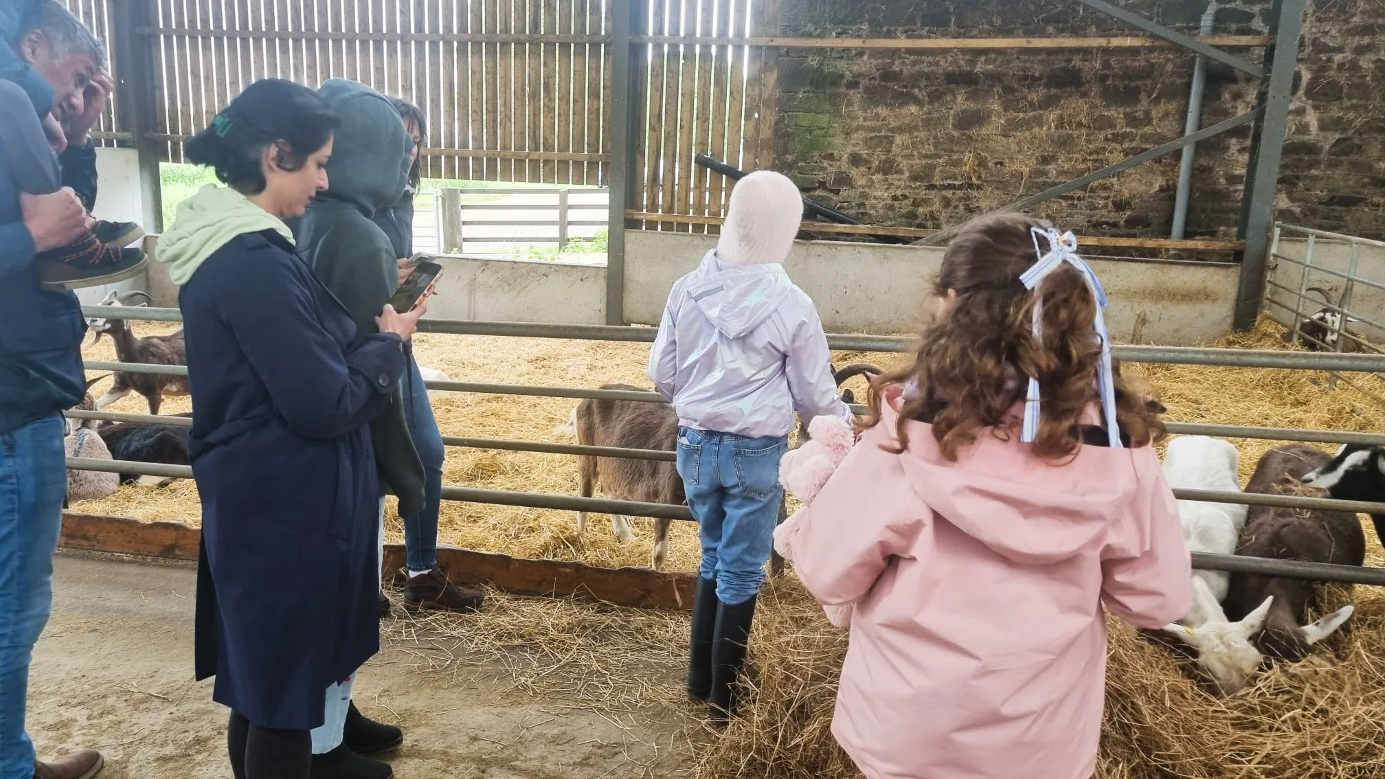 Open Farm Sunday 1.JPG