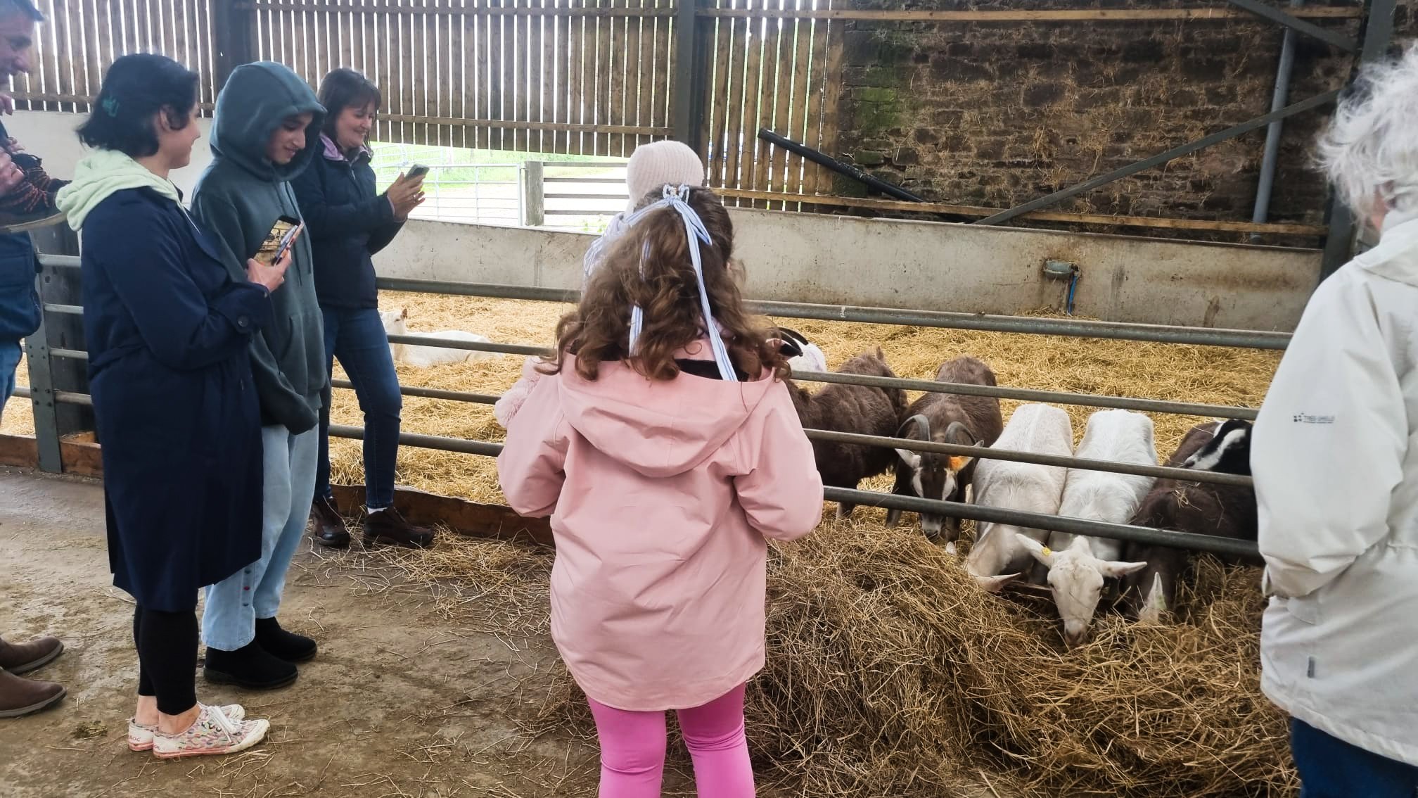 Open Farm Sunday 4.JPG