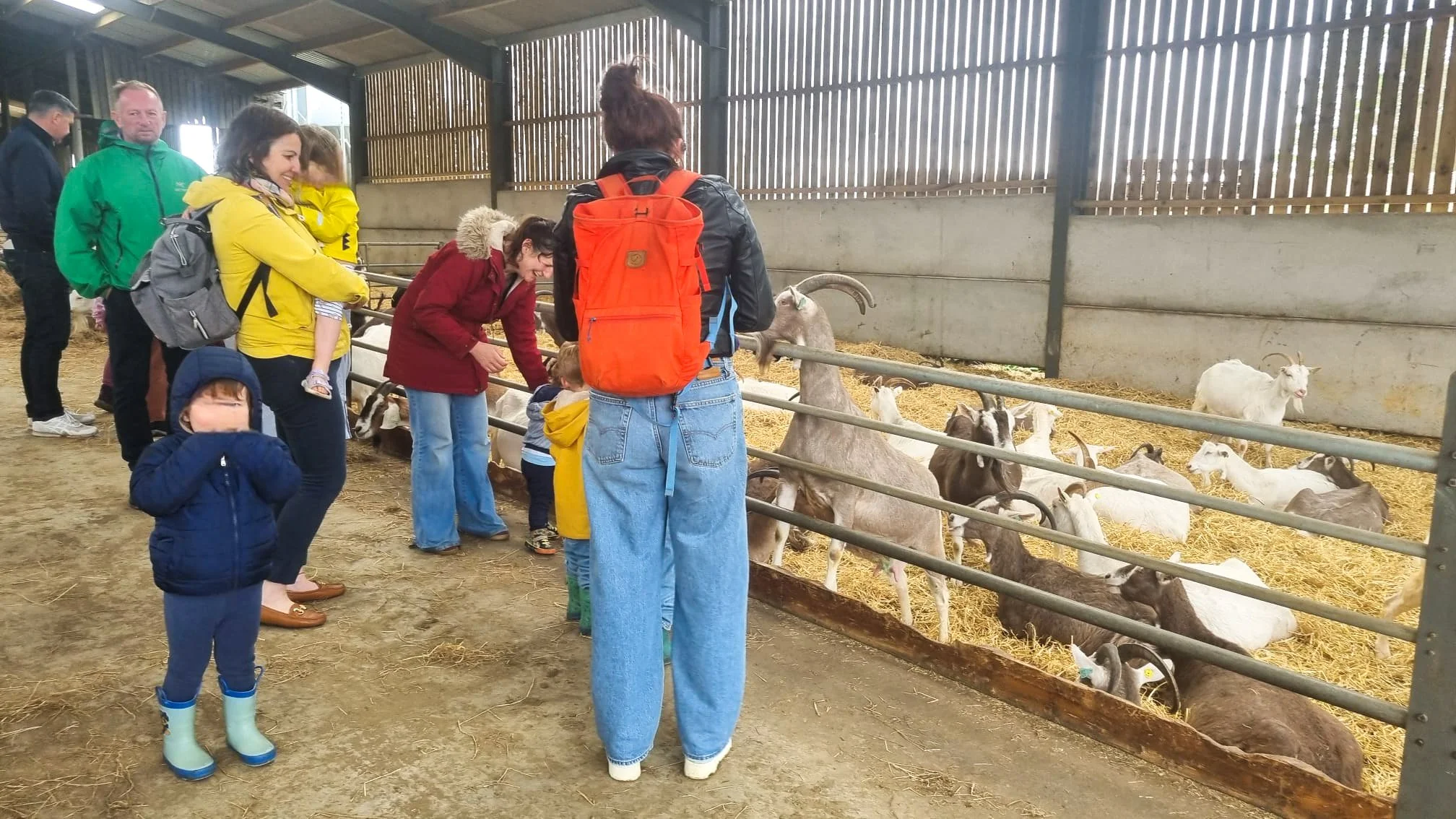 Open Farm Sunday 8.JPG