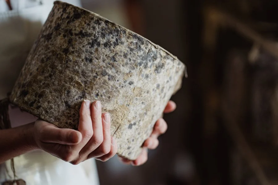 A truckle of hard sheep's milk cheese being held in hands