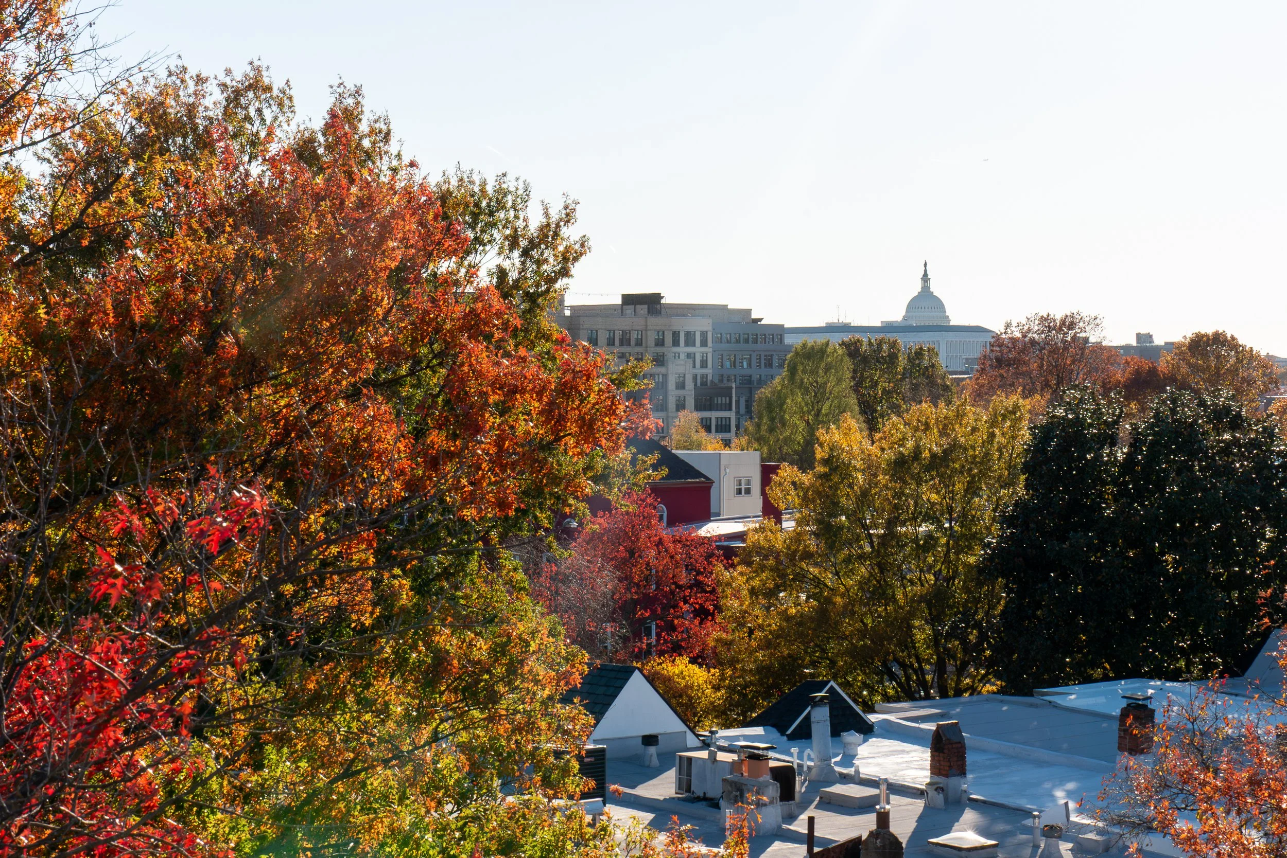 The Sidney (view)-3.jpg