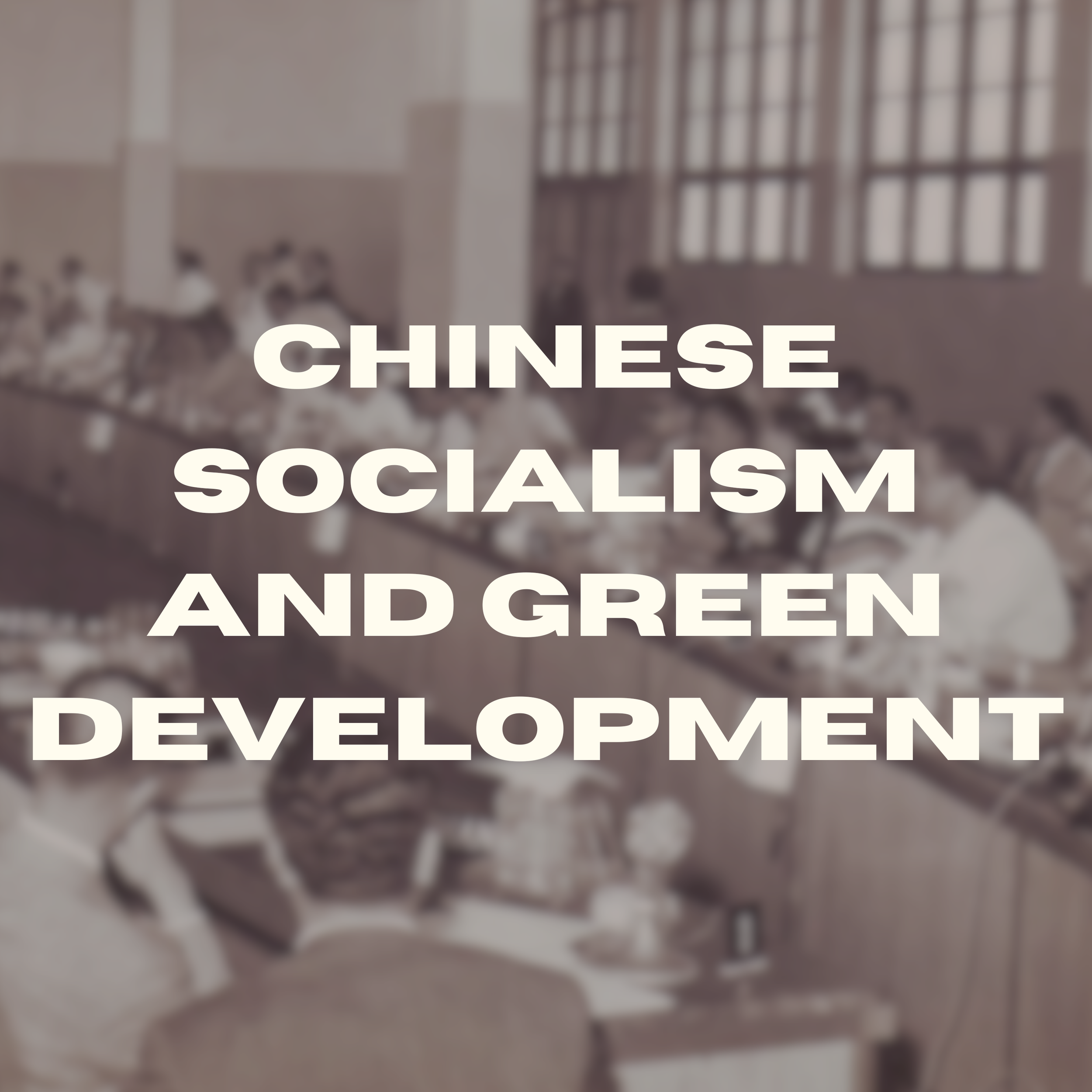Episode 37 - Chinese Socialism and Green Development with Ashwin Shantha