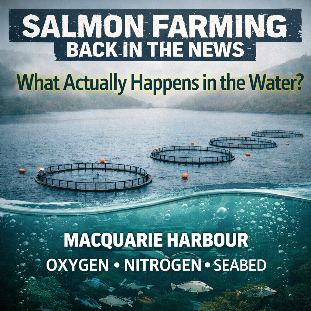 The Albanese Salmon Farming Decision Raises a Simple Question: What Happens in the Water?
