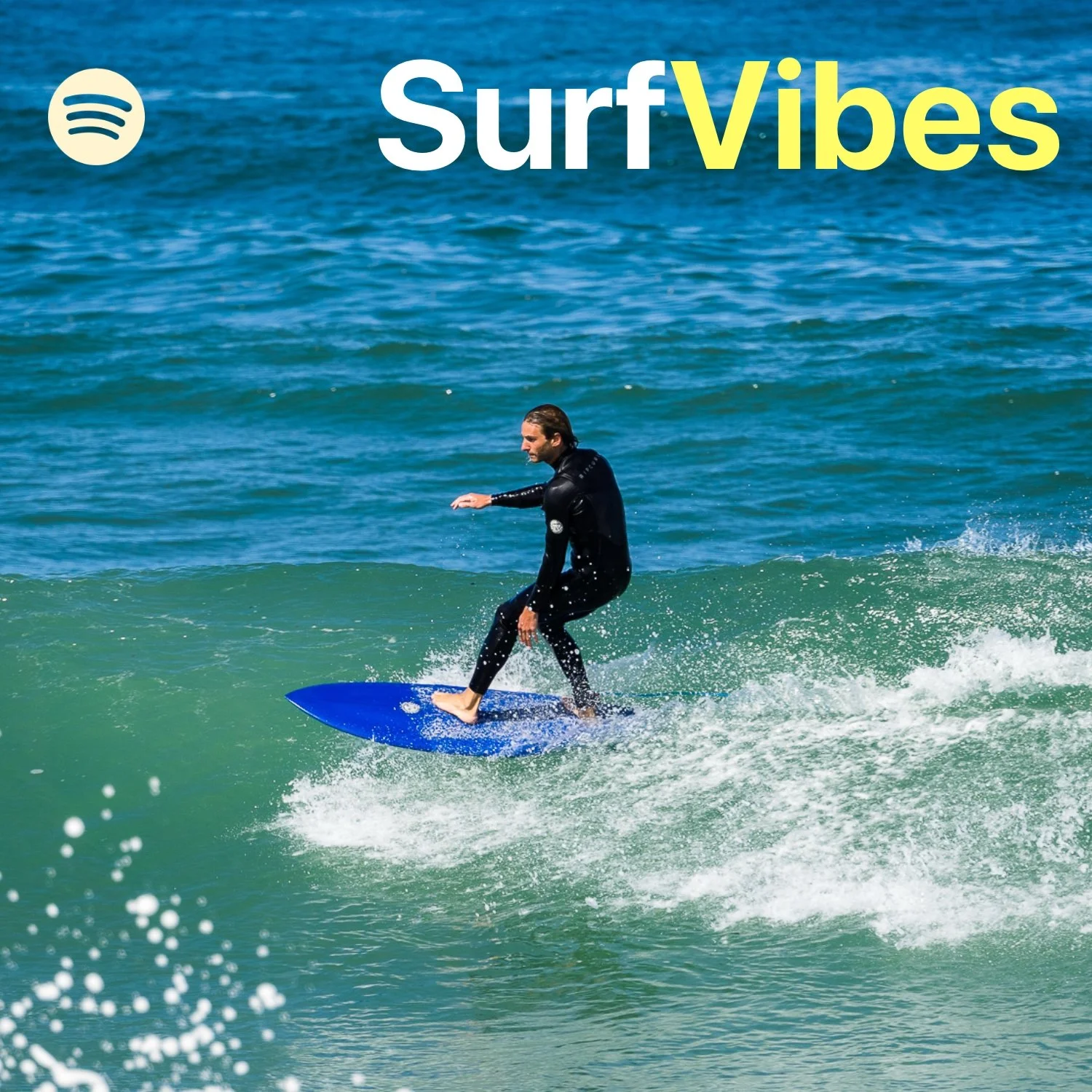Playlist Surf Vibes