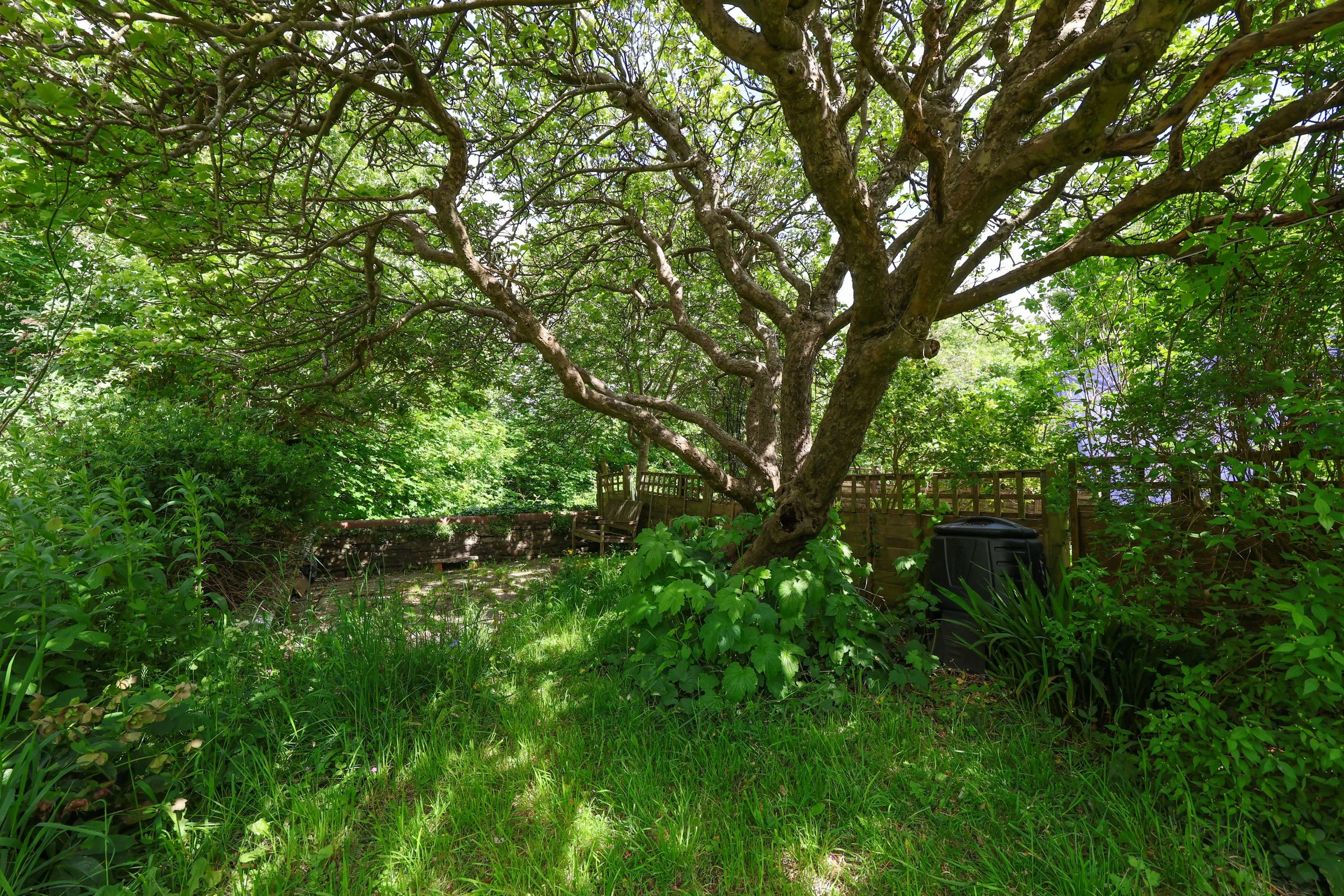 51 Somerset Road 7.JPG