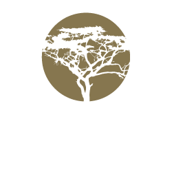 Acacia-Logo-2d.png