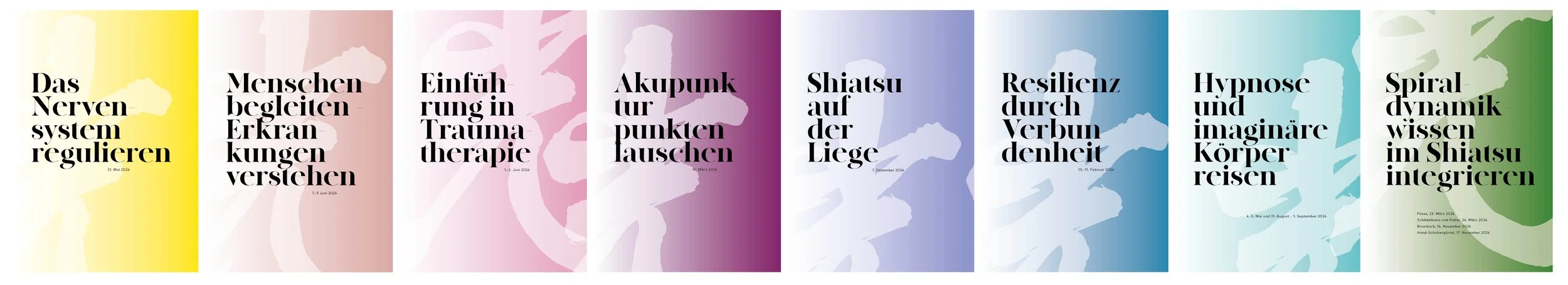 Titelbild mit acht farbigen Abschnitten, die verschiedene Themen im Zusammenhang mit Therapie, Akupunktur und Schamanismus behandeln, mit deutschen Titeln und Daten.