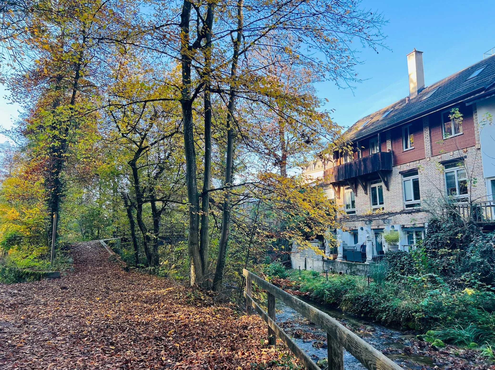 Ein Pfad im Herbst, umgeben von Bäumen mit buntem Laub, neben einem kleinen Fluss und einem mehrstöckigen Wohngebäude im Hintergrund, bei sonnigem Himmel.