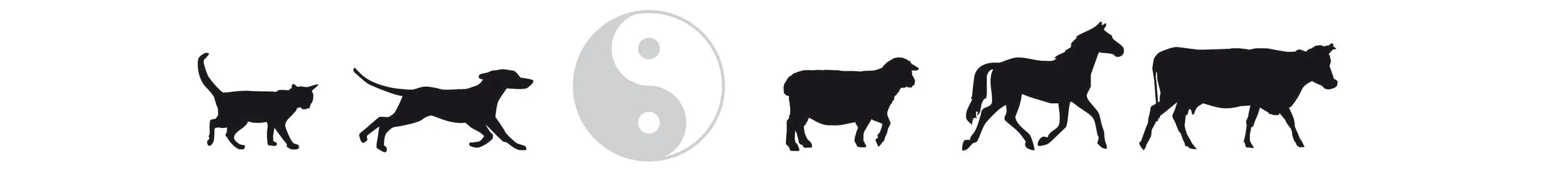 Silhouetten von Katzen, einem Hund, einer Yin-Yang-Ikone, einem Pferd und einer Kuh, die in einer Reihe stehen.
